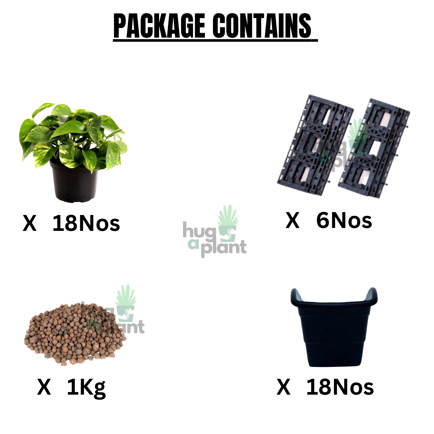 Biowall Vertical Garden With Plants (Money Plant Green) For Home & Garden
