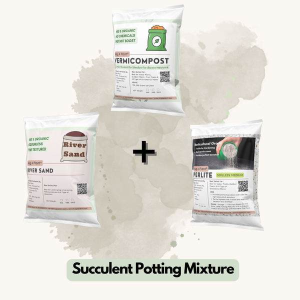 vermicompost for succulents Hug A Plant : Succulent Potting Mixture For Plants