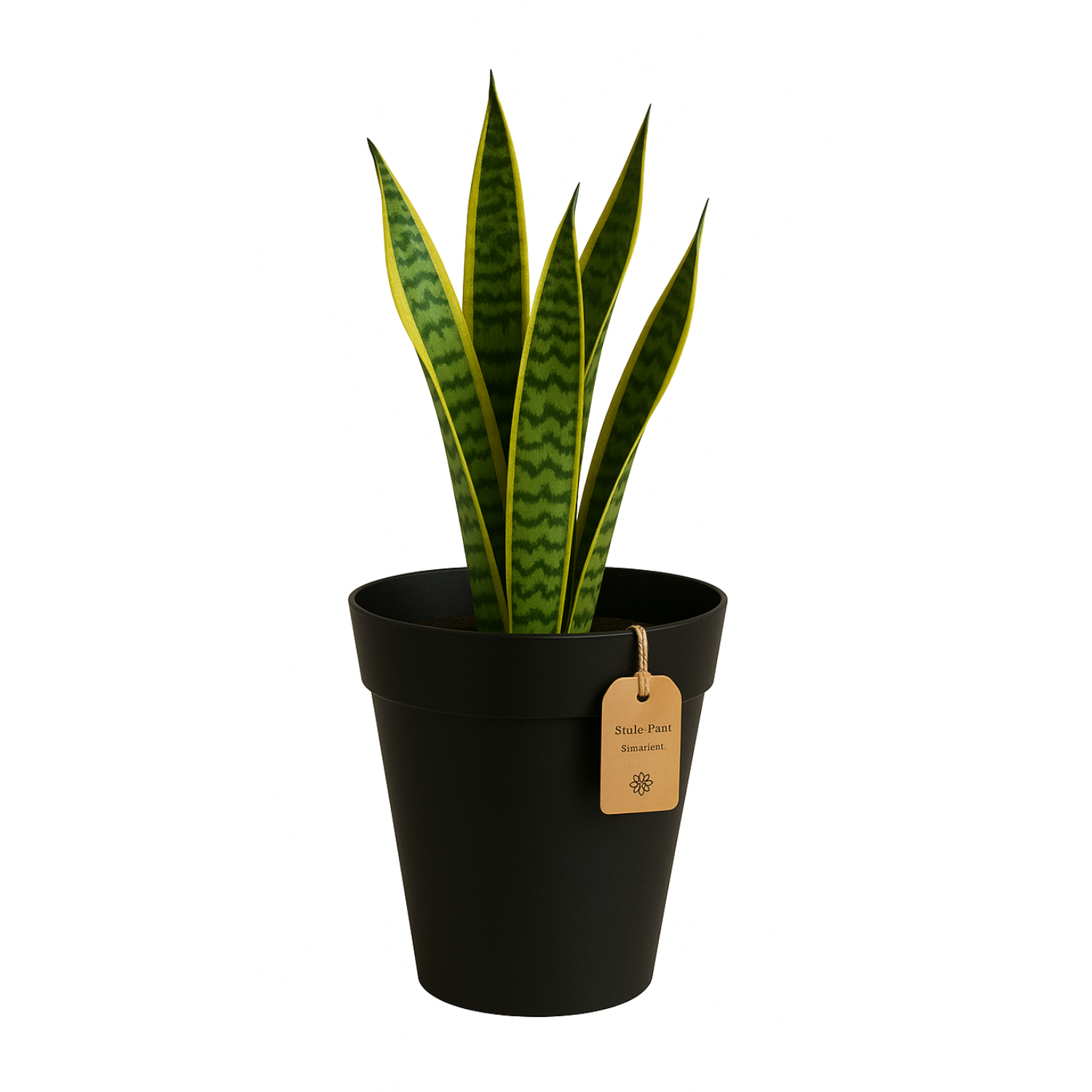 Rome Eco Series for Home & Garden (Pack of 1)