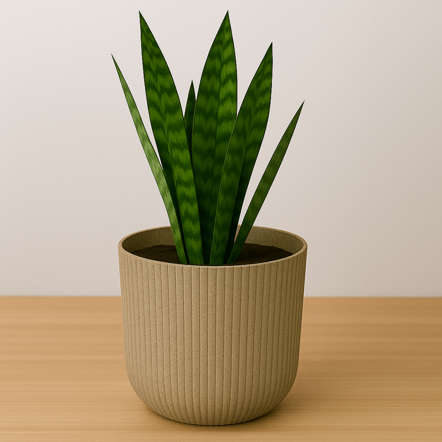 Hug A Plant | Ebizia Round[Eco series] Plastic Pot for Home & Garden (Pack of 1)
