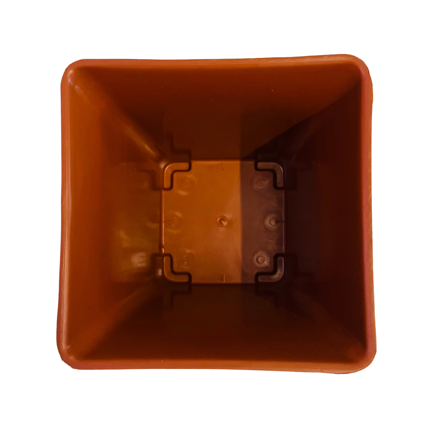 Hug A Plant | Hot Square Plastic Pot for Home & Garden (22CM | 9INCH)