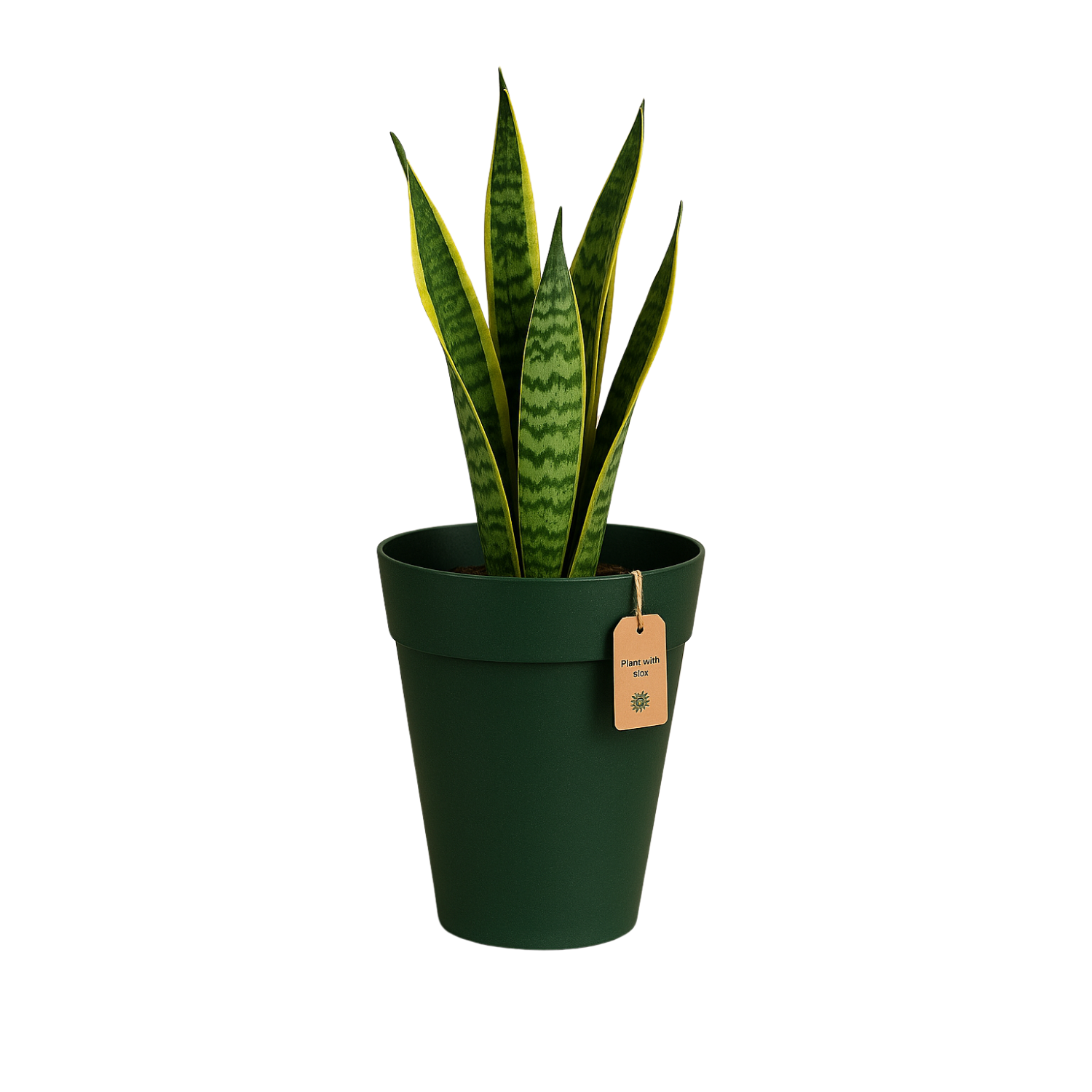 Rome Eco Series for Home & Garden (Pack of 1)