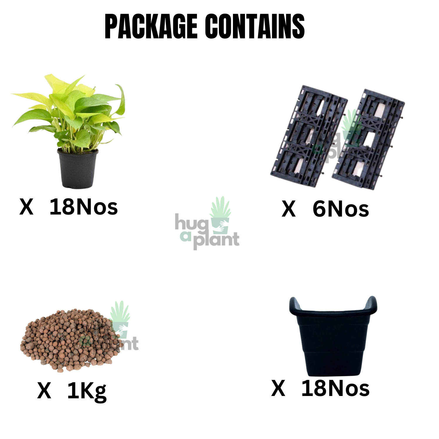 Biowall Vertical Garden With Plants (Money Plant Golden) For Home & Garden