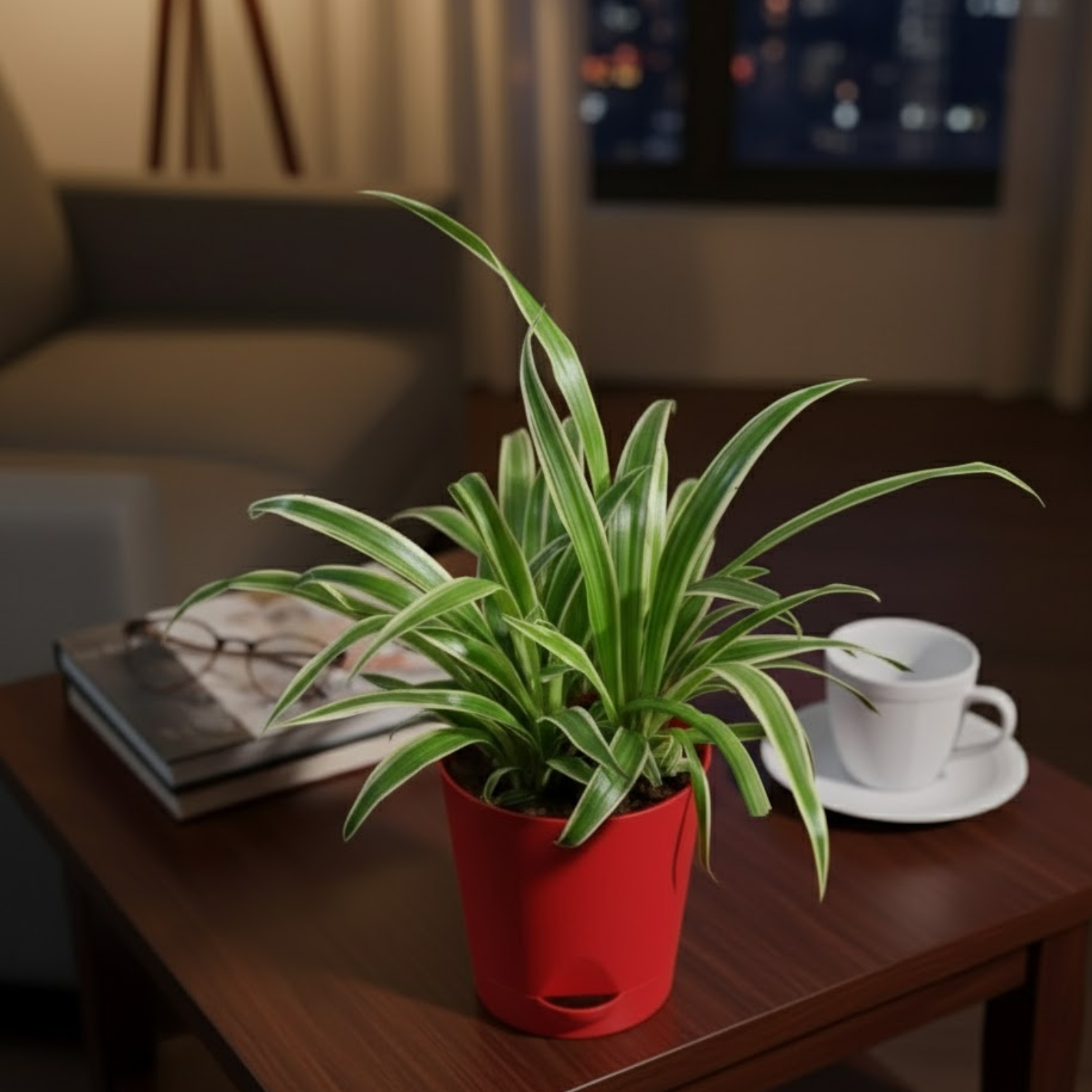 Hug A Plant | Spider Plant | Chlorophytum Live Air-Purifying Plant in 5-Inch Self-Watering Pot | Ideal for Home & Office Décor (Pot Colour May Vary Depending On Availability)