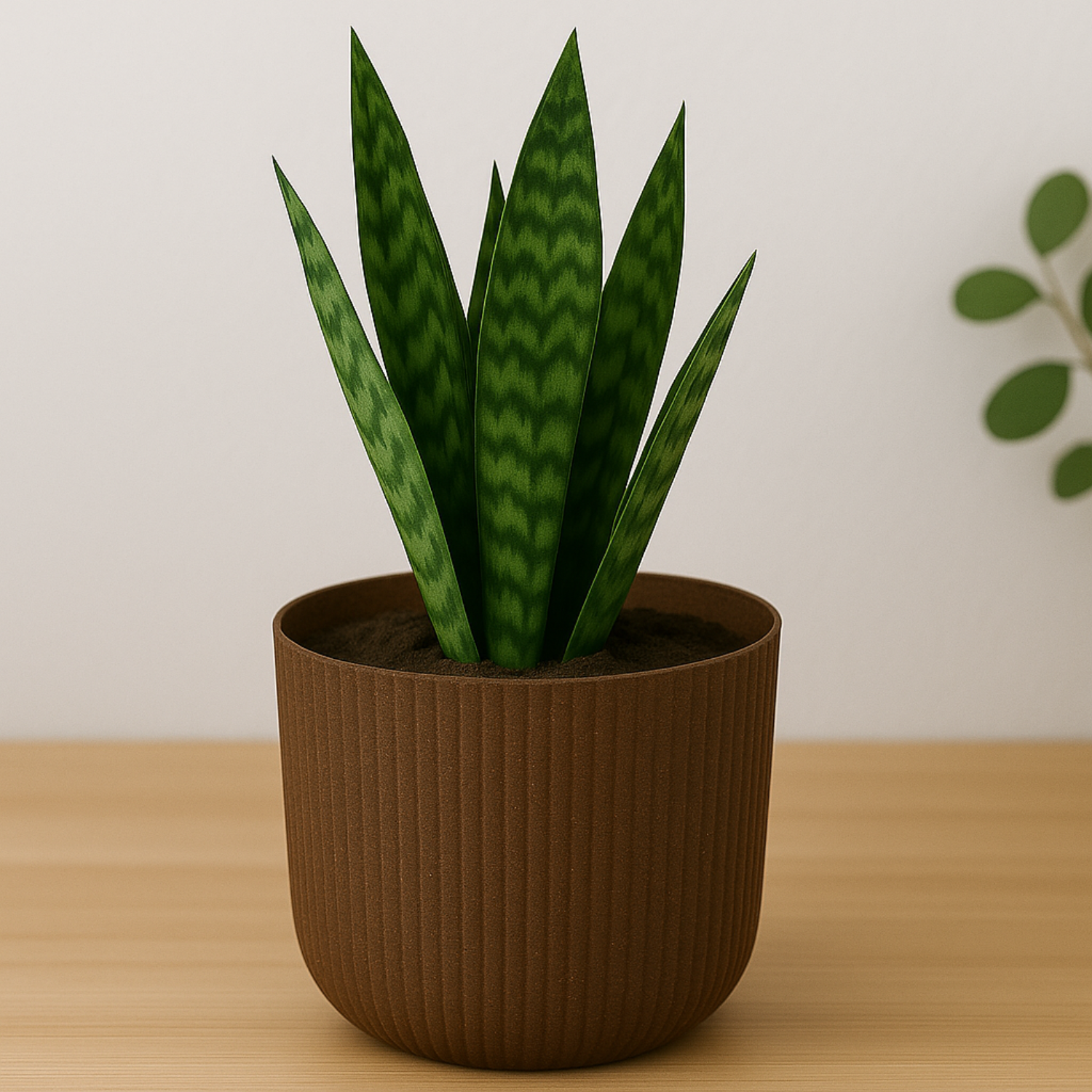 Hug A Plant | Ebizia Round[Eco series] Plastic Pot for Home & Garden (Pack of 1)