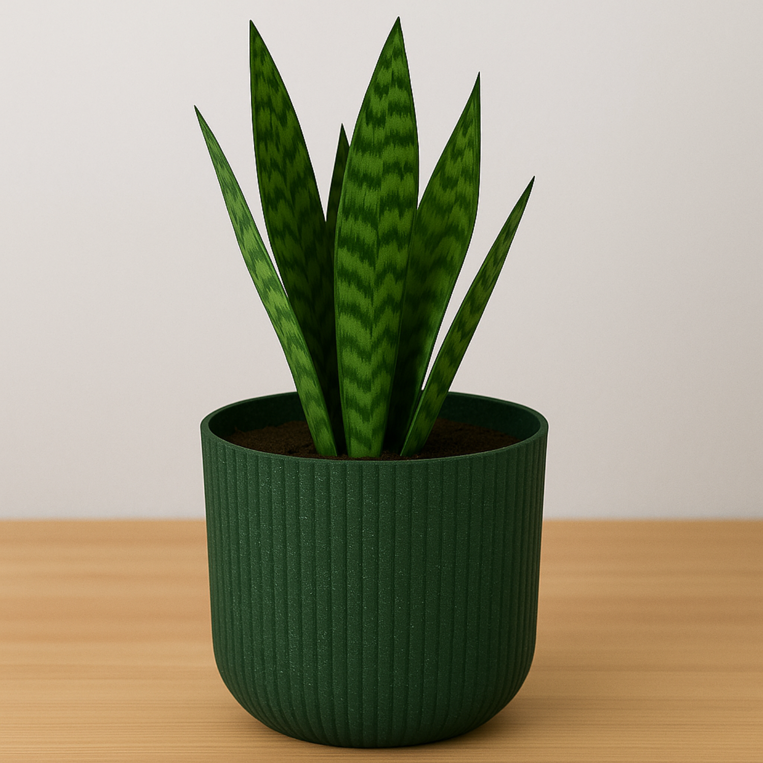 Hug A Plant | Ebizia Round[Eco series] Plastic Pot for Home & Garden (Pack of 1)
