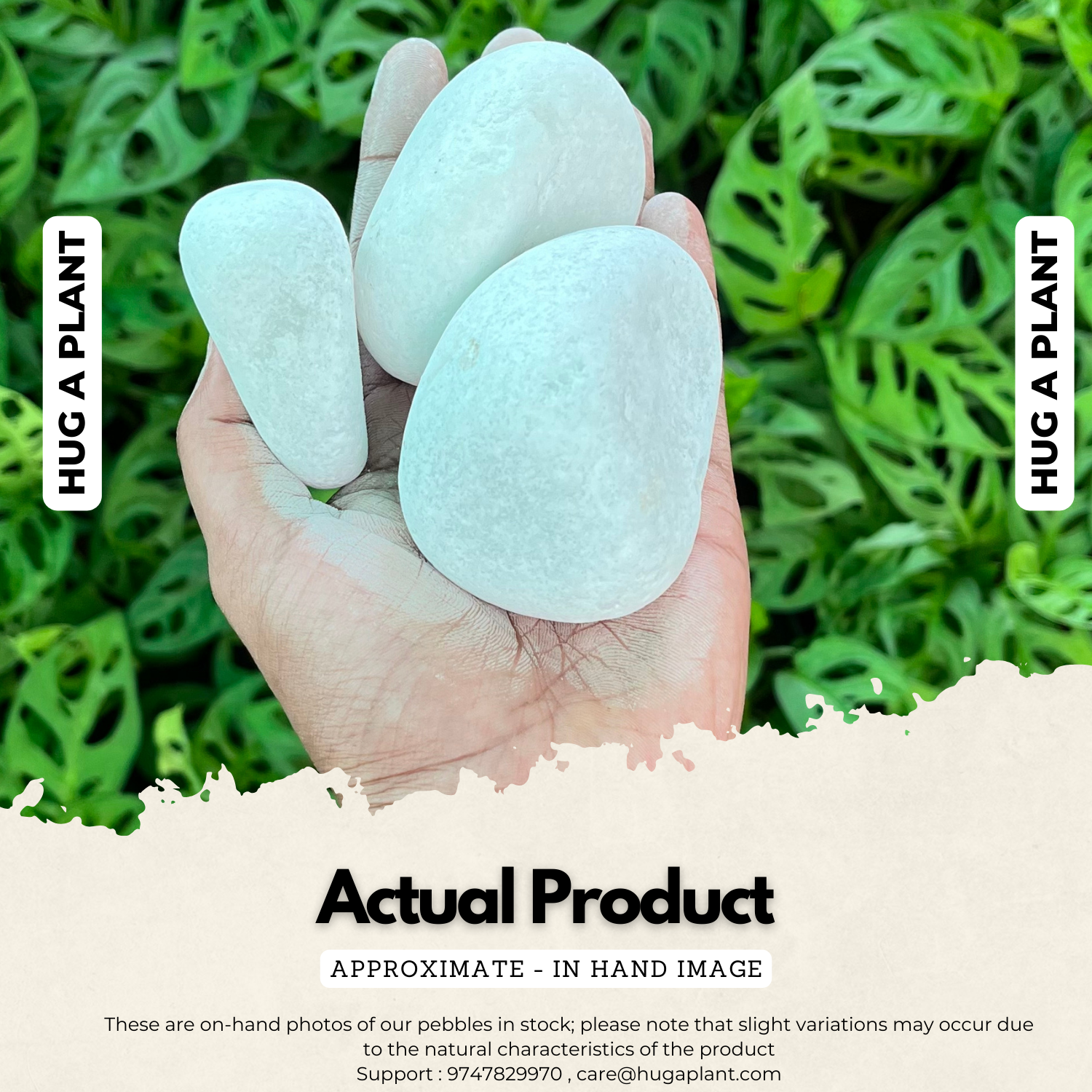 White Unpolished Pebbles for Decoration |Garden|Table|Terrariums| Home Decor|Vase Fillers
