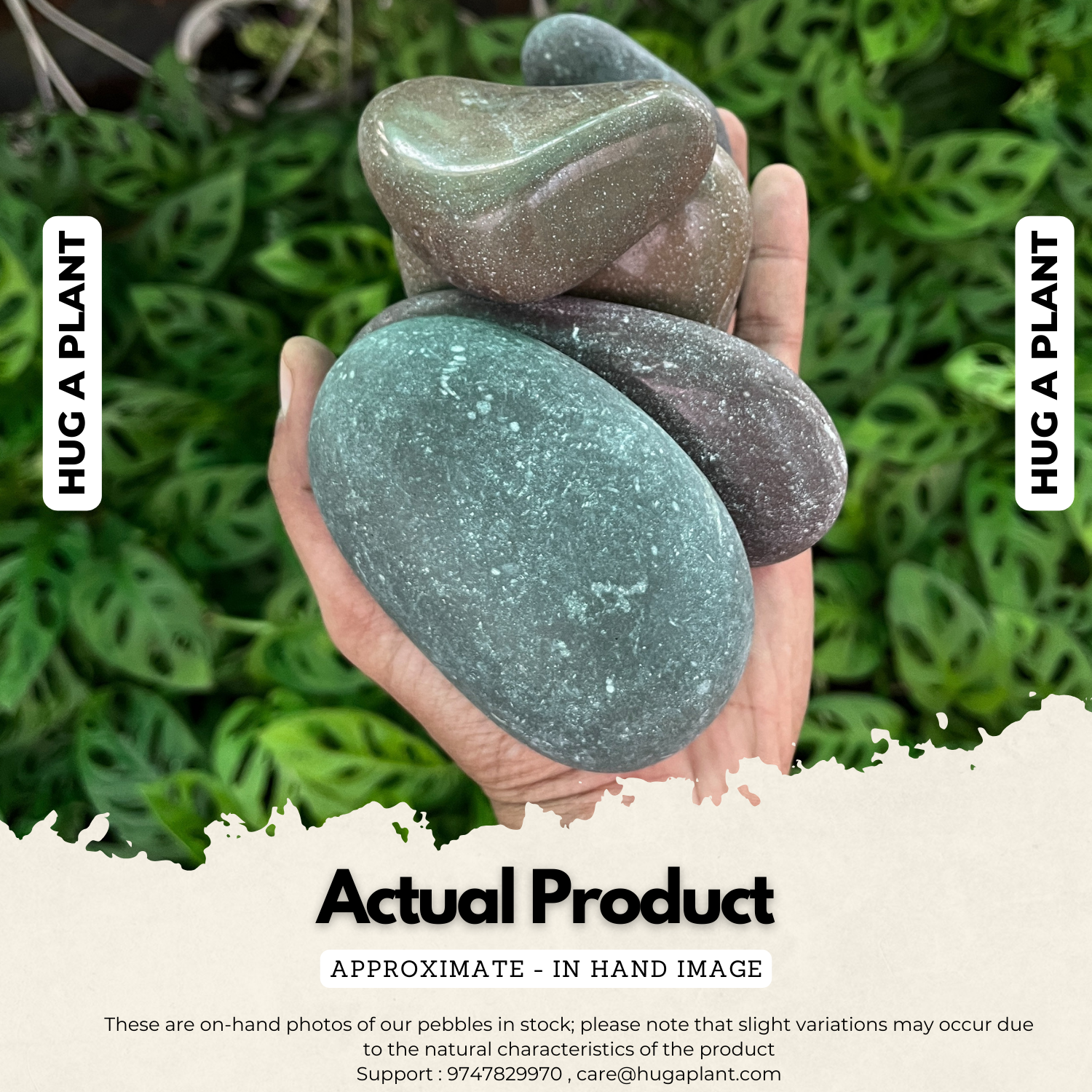 Polished River Pebbles for Decoration |Garden|Table|Terrariums| Home Decor|Vase Fillers