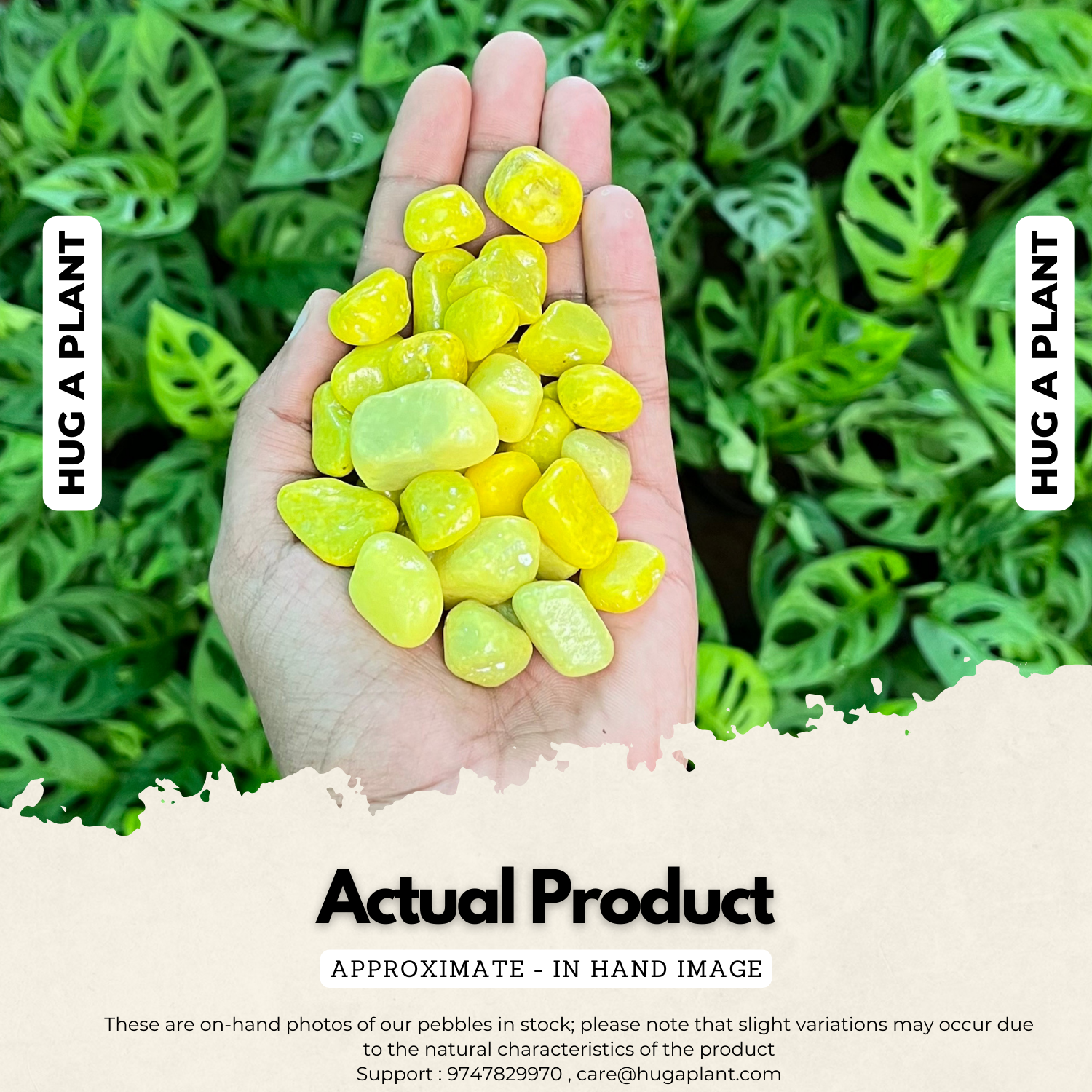 Yellow Pebbles for Decoration |Garden|Table|Terrariums| Home Decor|Vase Fillers