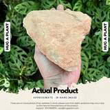 Camel Colour Rock Stone for Decoration |Garden|Table| Home Decor|Vase Fillers|Auqarium