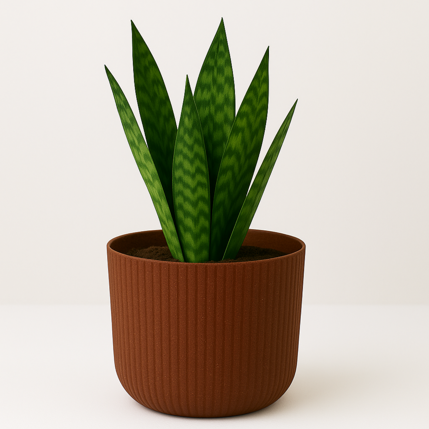Hug A Plant | Ebizia Round[Eco series] Plastic Pot for Home & Garden (Pack of 1)