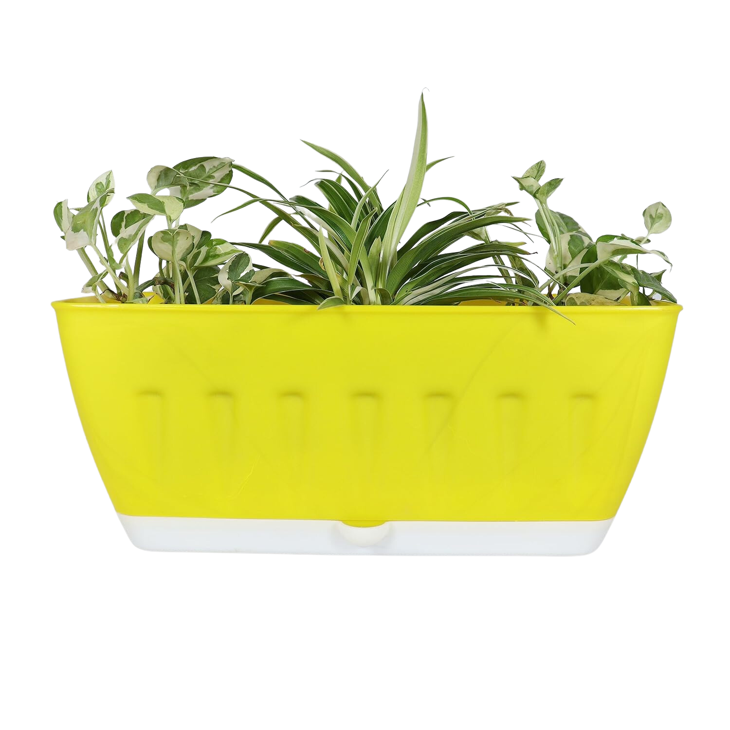 Khidki Rectangle 36CM Selfwatering Window Planter for Home Gardening | Lawns and Gardens | Flower Pots for Home Balcony Garden
