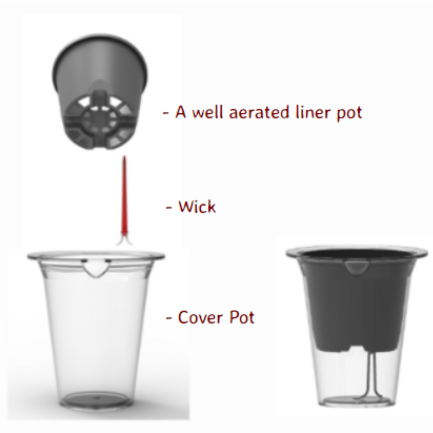 Mascot 10 Clear Round 5inch selfwatering Pot With Wick For Tabletop | Office | Indoor Garden | Home& Garden (5INCH | 13CM)