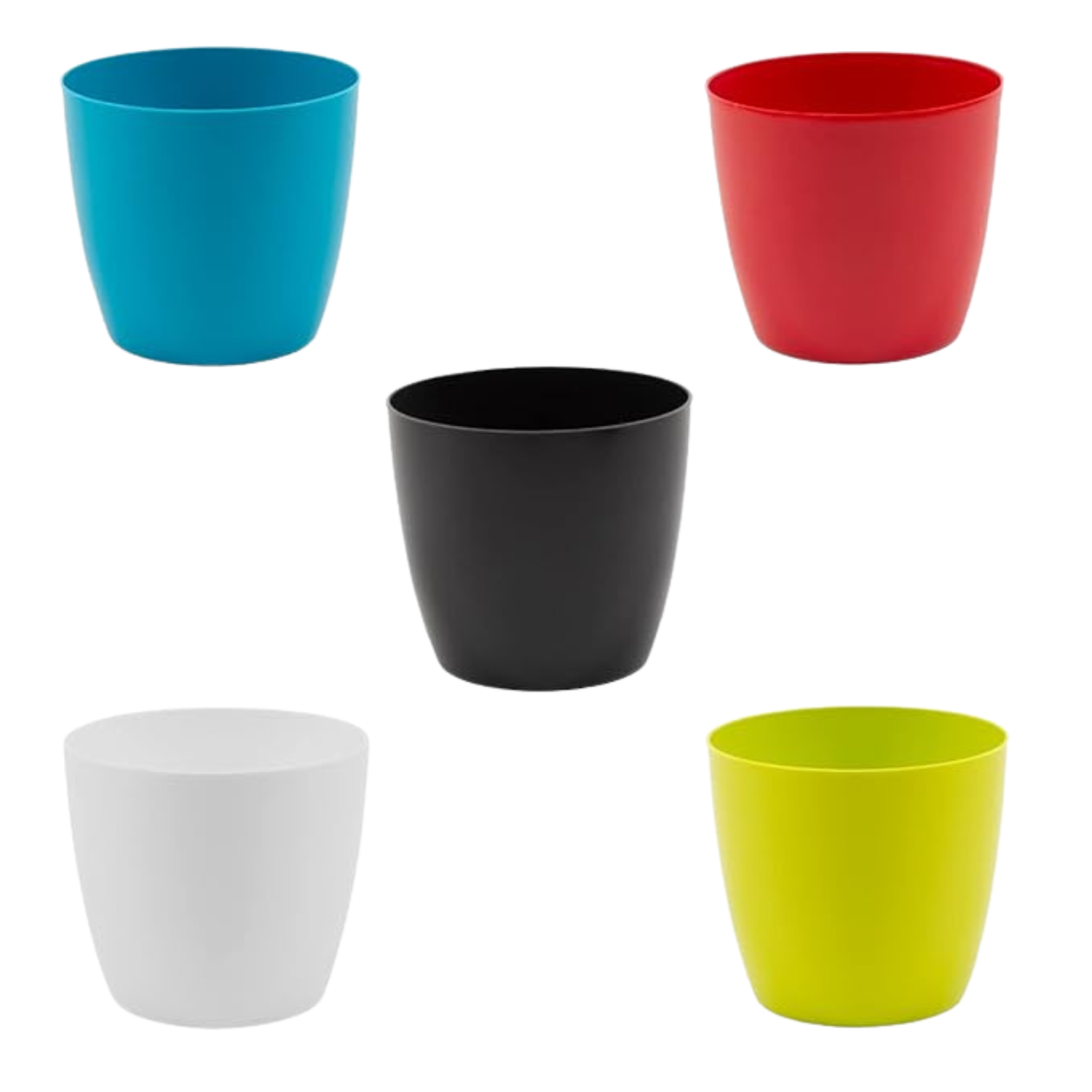 Hug A Plant Valencia Mixed Magnet Plastic Pot to Create Vibrant  Spaces