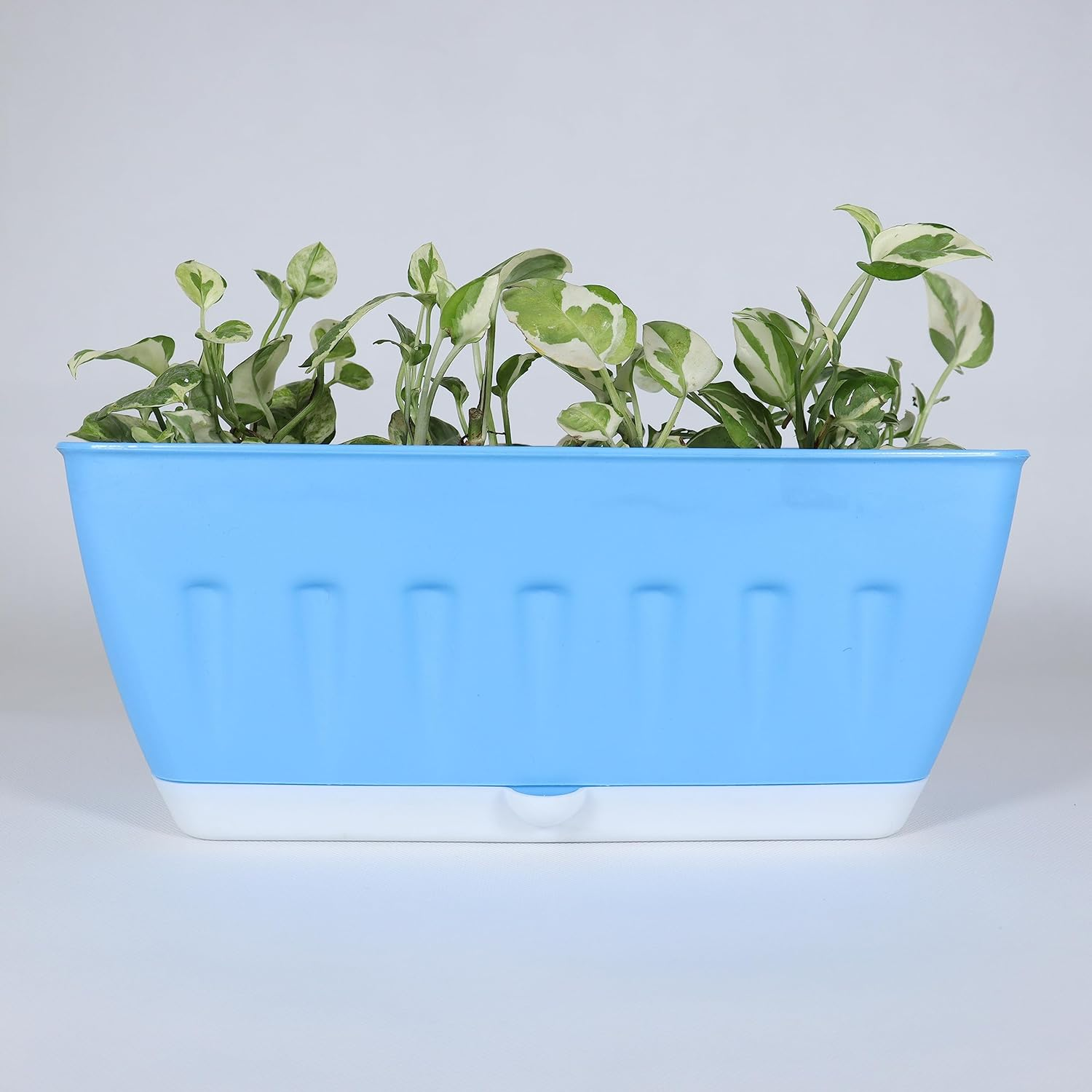 Khidki Rectangle 36CM Selfwatering Window Planter for Home Gardening | Lawns and Gardens | Flower Pots for Home Balcony Garden