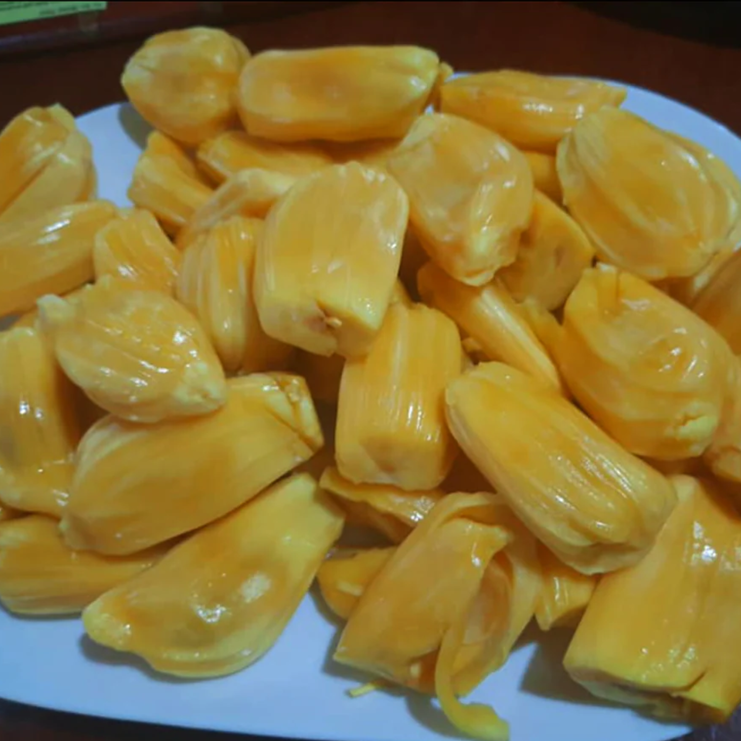 EVIARC The Sweetest Jackfruit Plant Budded Fruit Plant (Home & Garden Plants)