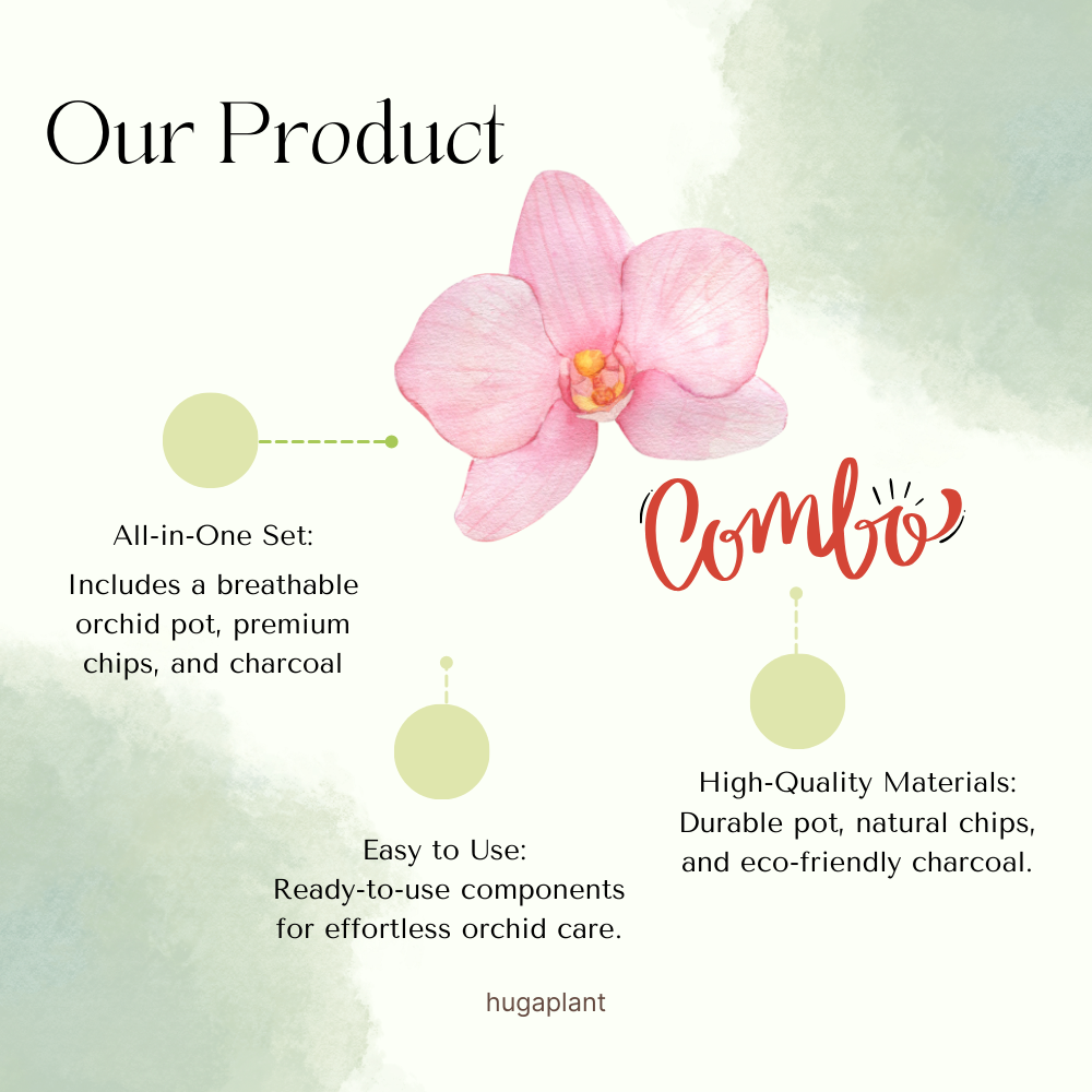 Hug A Plant : Orchid Combo ;All in one set