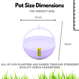 Hug A Plant | ORB Duo Pot for Home & Garden