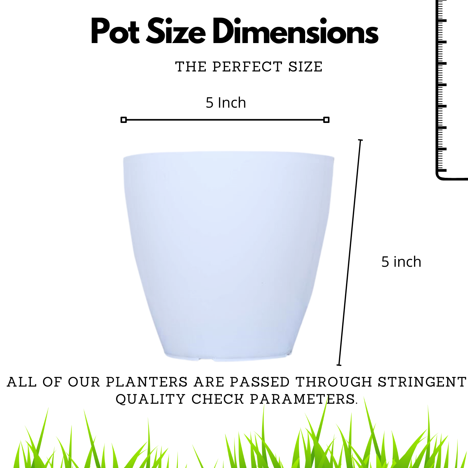 Hug A Plant 5 Inch Avant White colour for Home & Garden