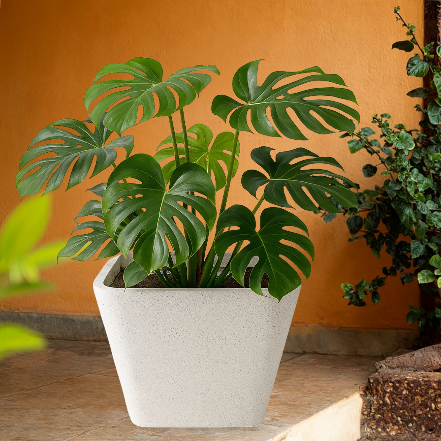 Stylo  Rotomolded Pots  for Home & Garden (Pack of 1)