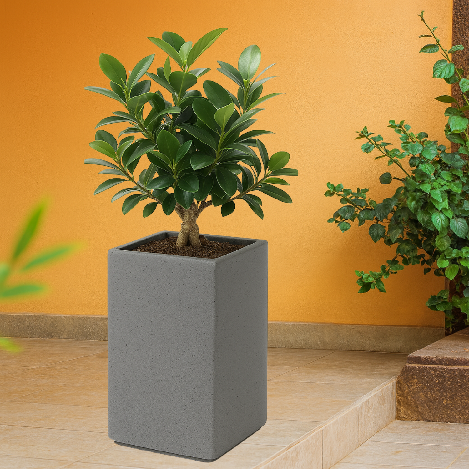 Cubo 2412 Rotomolded Pots for Home & Garden (Pack of 1)