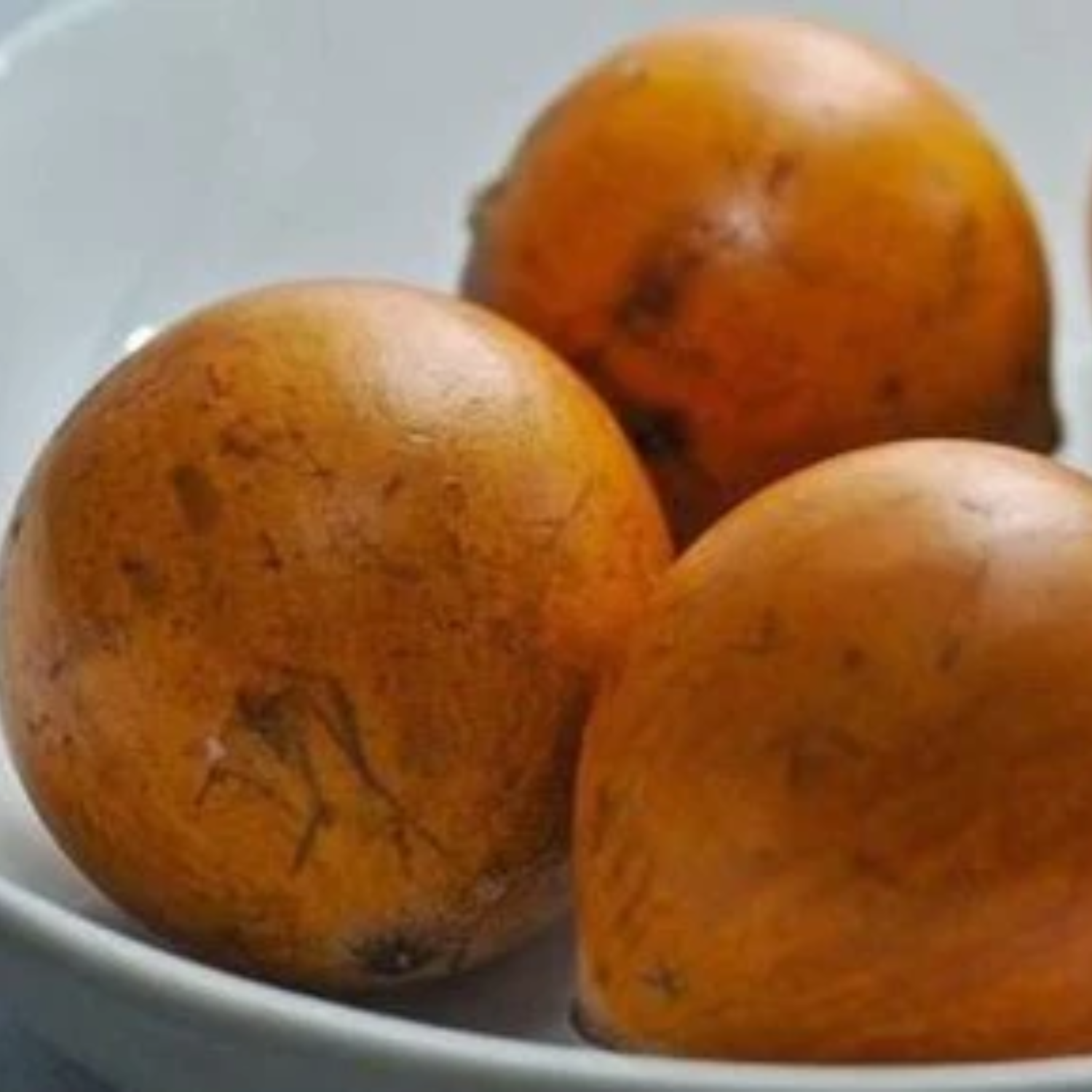 Udara Fruit (Chrysophyllum Albidum) Seedling Fruit Plant (Home & Garden Plants)