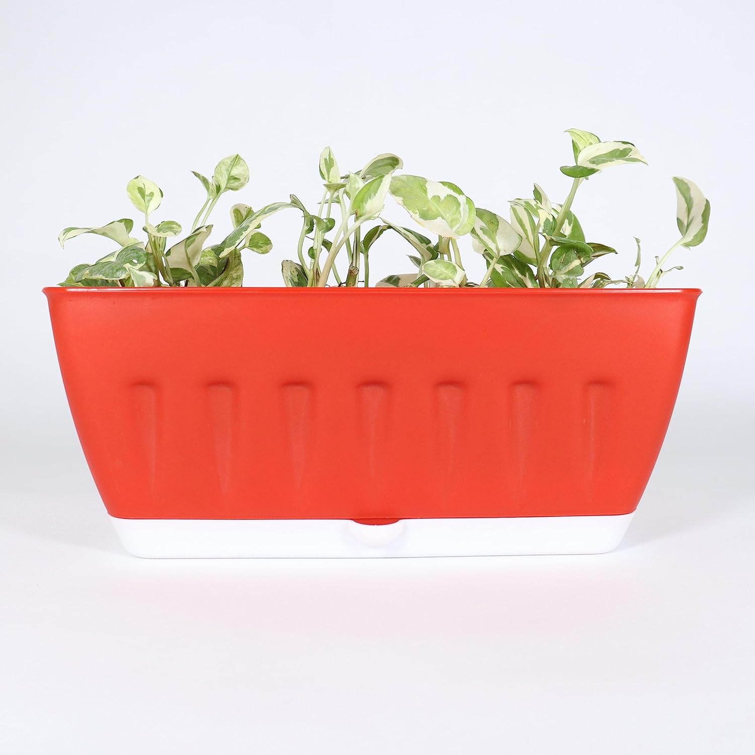 Khidki Rectangle 36CM Selfwatering Window Planter for Home Gardening | Lawns and Gardens | Flower Pots for Home Balcony Garden