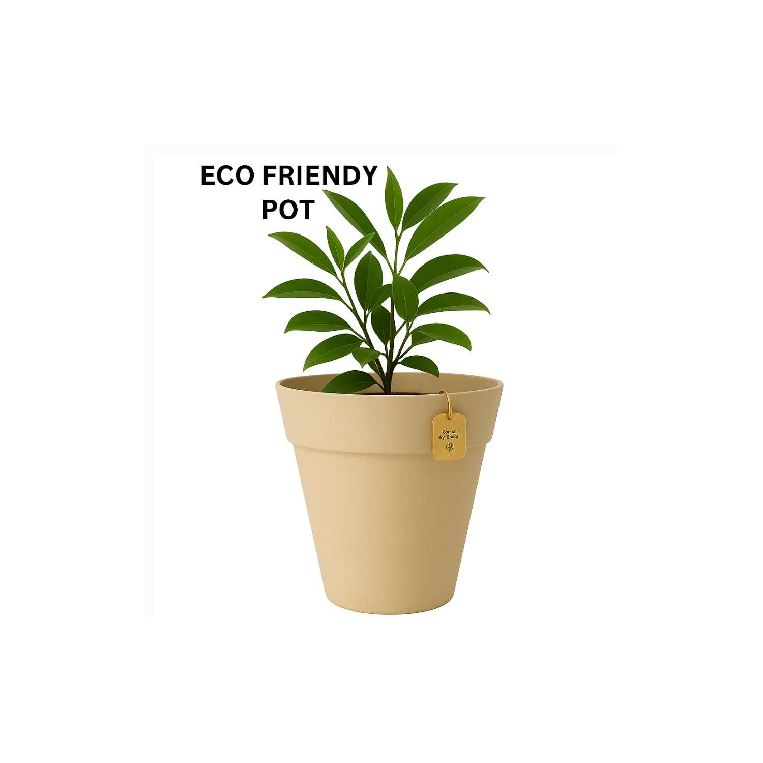 Rome Eco Series for Home & Garden (Pack of 1)