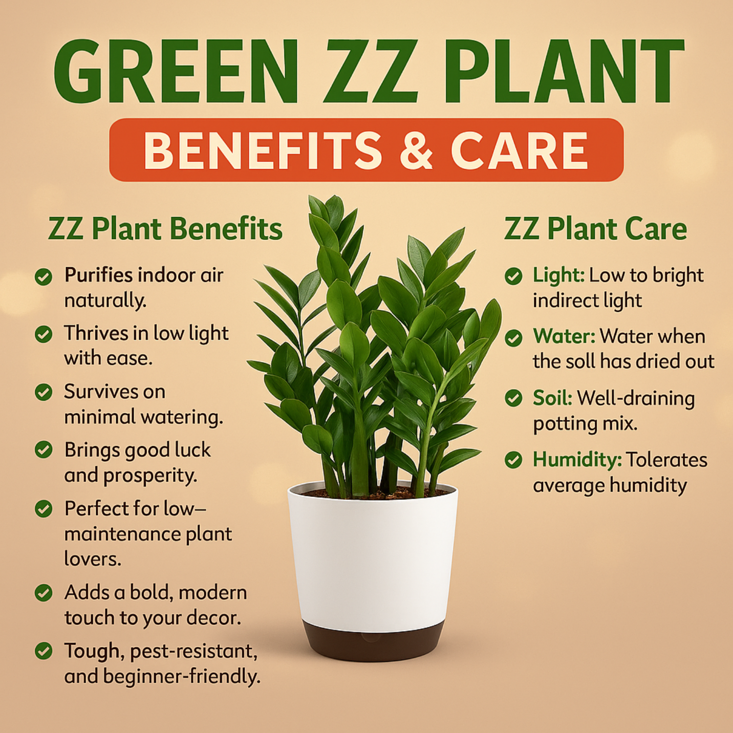 Green ZZ Plant (Zamioculcas zamiifolia) in Krish 18cm (7 Inch) Self-watering Pot | Indoor Air-Purifying | Low-Maintenance | Ideal for Home & Office Décor (Pot colour may vary on availability)