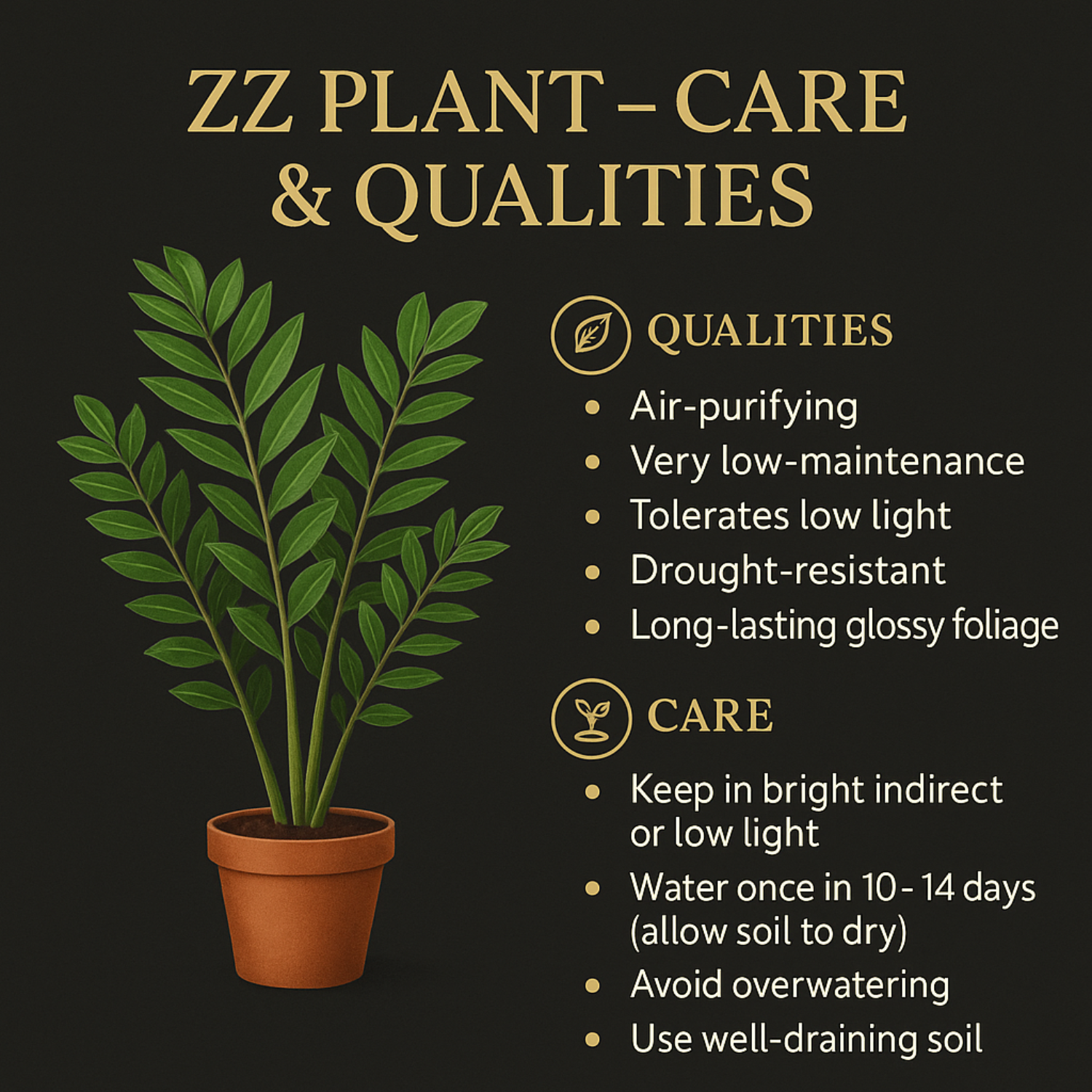 Air Purifying Plants Combo Set Of 2 [ZZ Plant & Philodendron Birkin] | Indoor Decorative Live Plants | Low-Maintenance | Ideal for Home & Office Décor