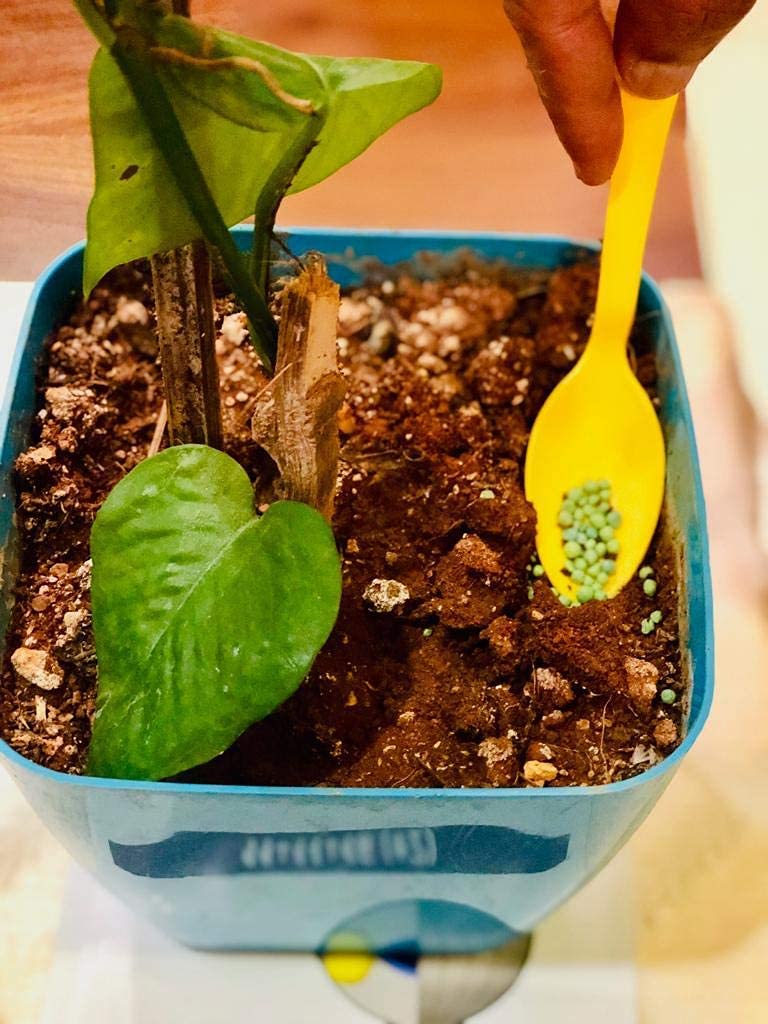 Hug A Plant | Basacote High K 6M Slow Releasing Fertilizer (13:5:18)(+2) For (Home & Garden)