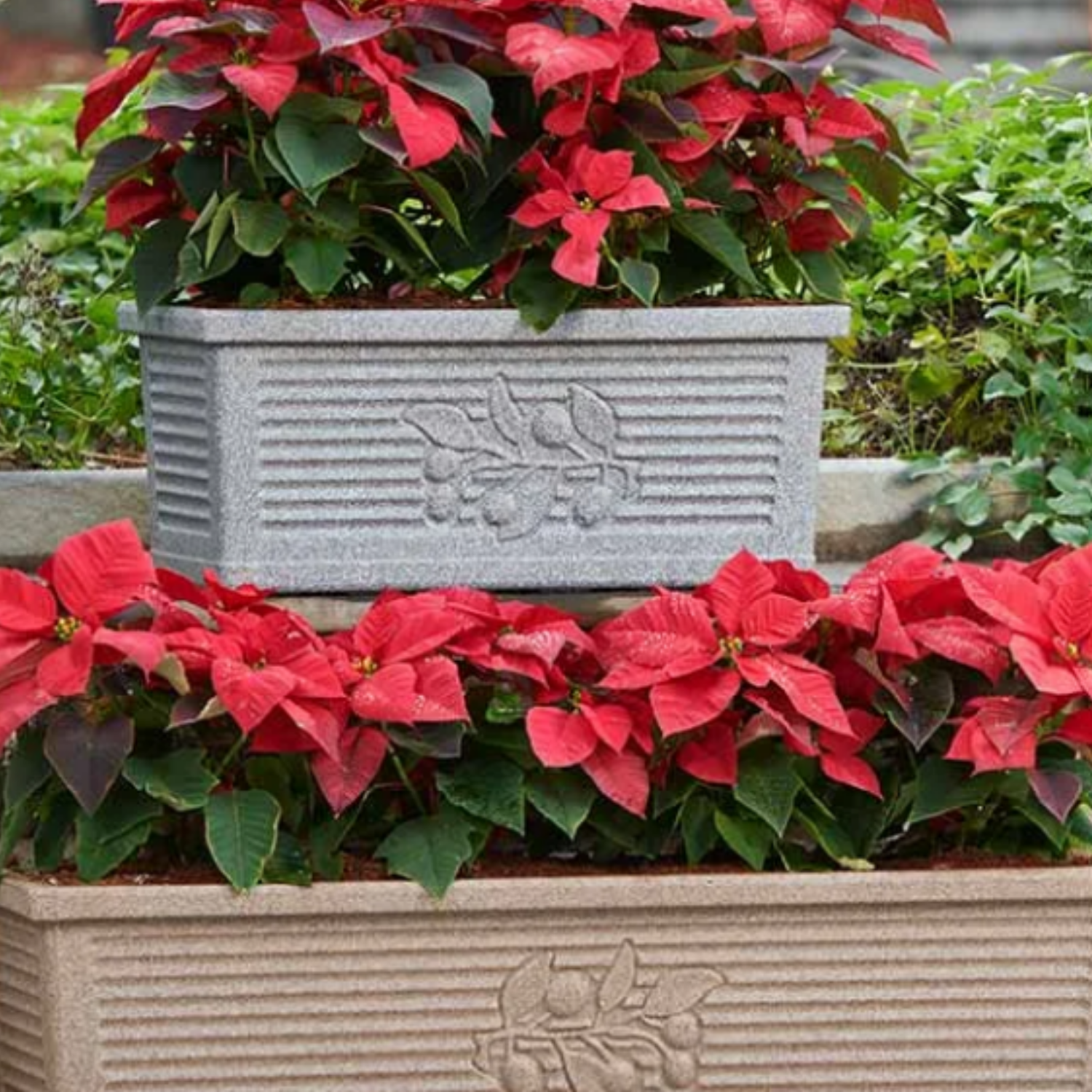 Flora Rectangle Rotomolded Plastic Pot for Home & Garden (Pack Of 1, Brown Stone Finish)