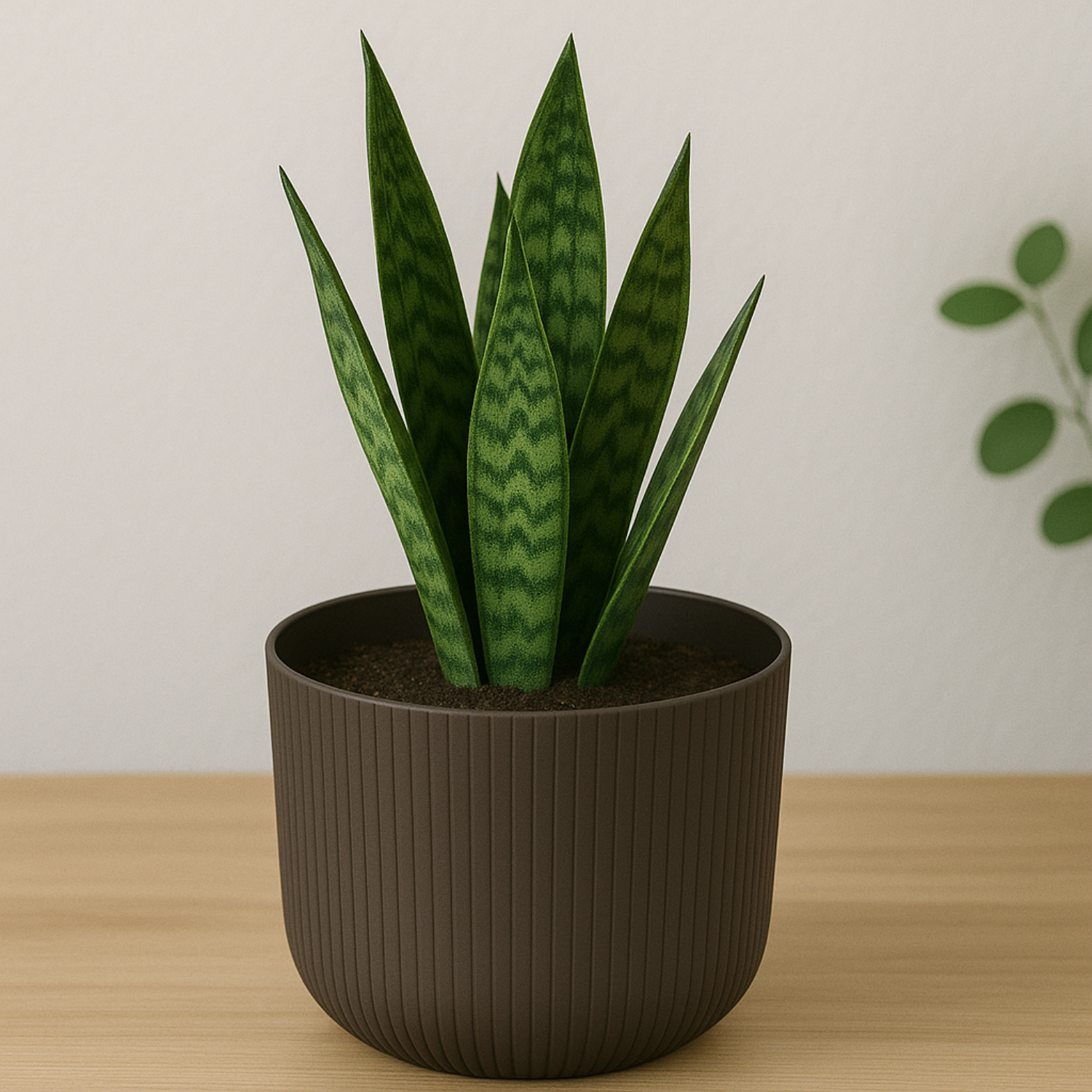 Hug a plant Ebizia Plastic Pot  for Home & Garden (Pack of 1)