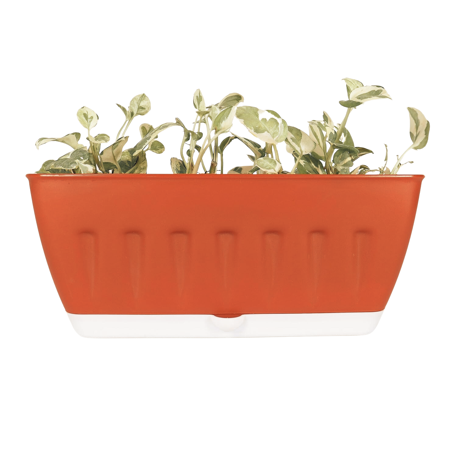 Khidki Rectangle 36CM Selfwatering Window Planter for Home Gardening | Lawns and Gardens | Flower Pots for Home Balcony Garden