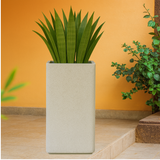 Cubo 2412 Rotomolded Pots for Home & Garden (Pack of 1)