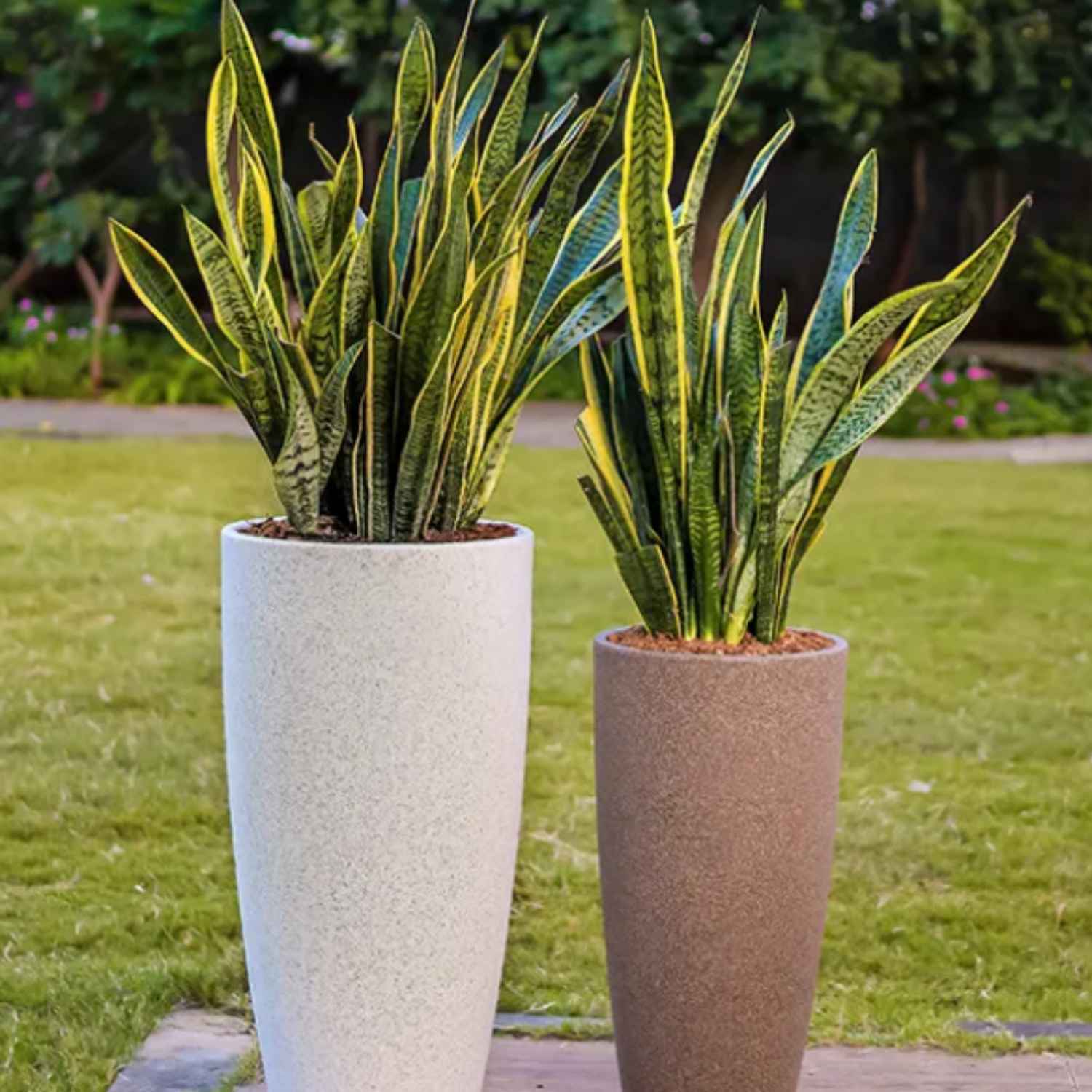 Hug A Plant | Venice Planter Rotomolded Round Plastic Pot Without Inner for Home & Garden (Pack of 1, White Stone Finish)
