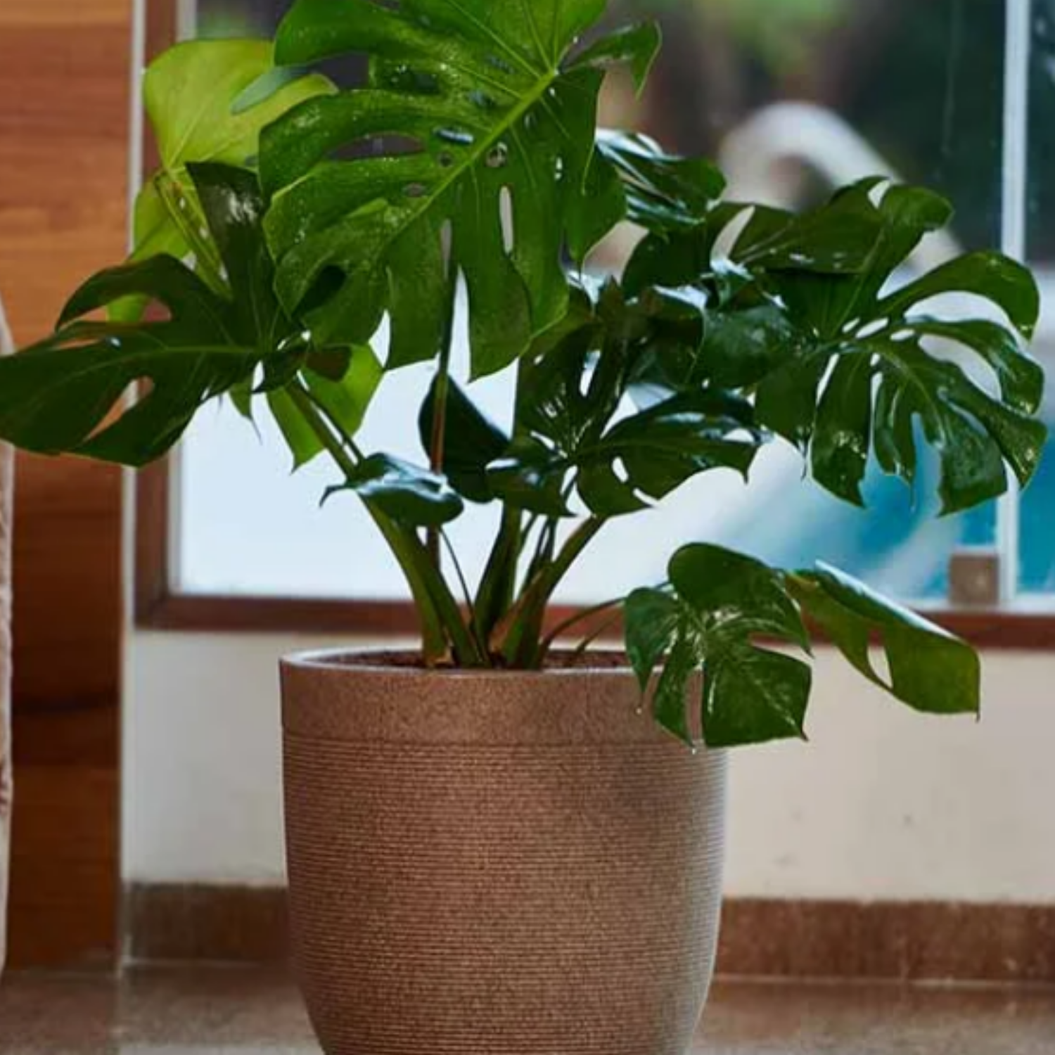 Hug A Plant | Milano Rotomolded Round Plastic Pot With Inner for Home & Garden (Pack of 1, Cream Stone Finish)