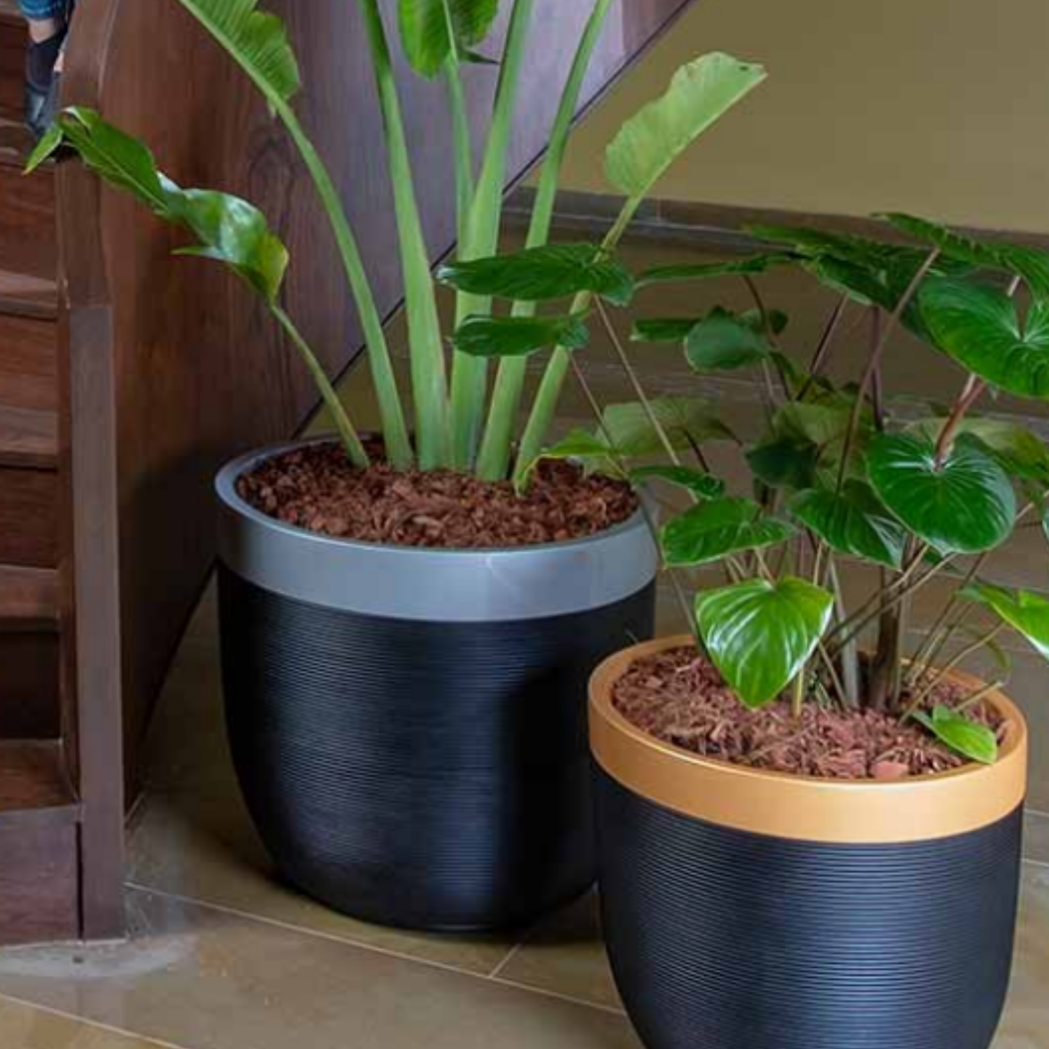 Hug A Plant | Milano Short-Dual Tone Rotomolded Round Plastic Pot With Inner for Home & Garden (Pack of 1, Pearl & Black)