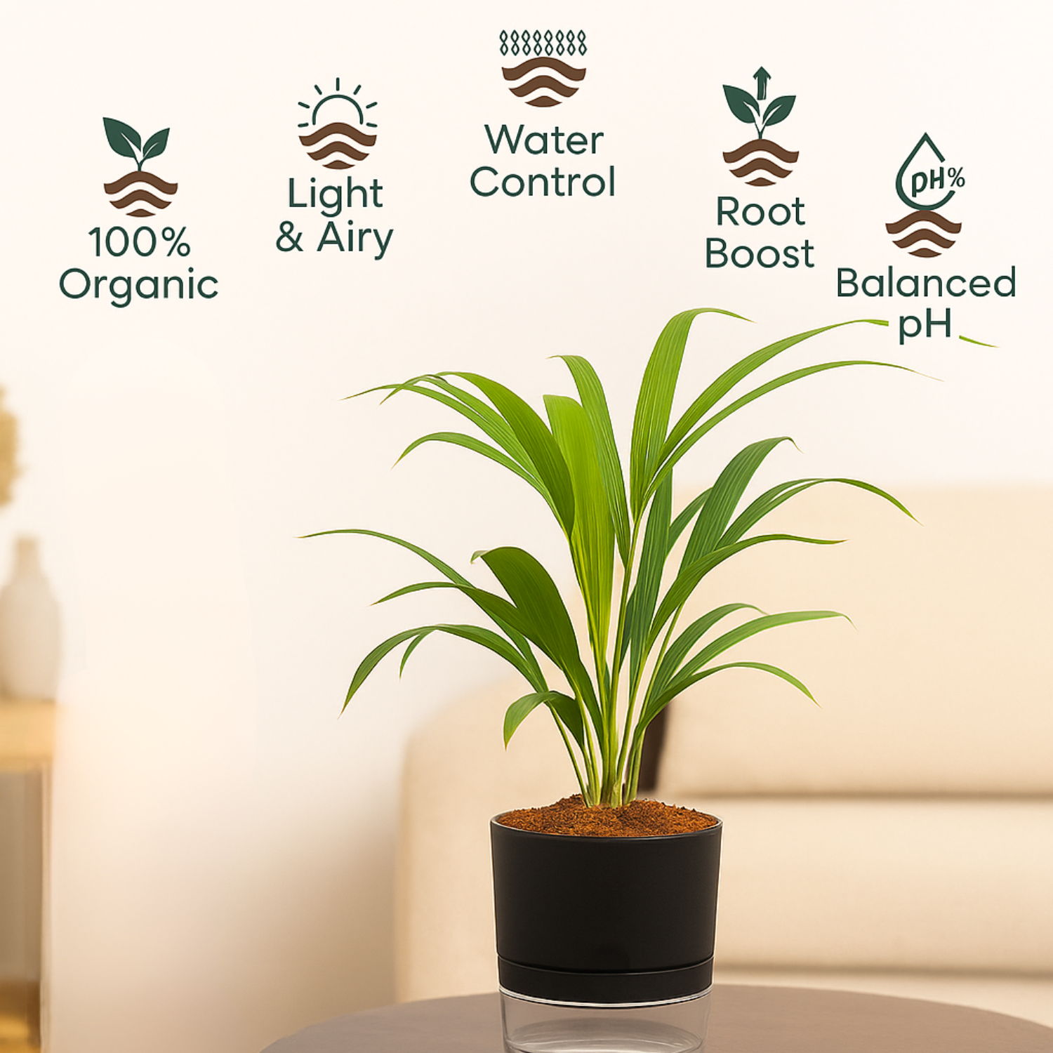 Areca Palm Live Indoor Air Purifier Plant in 6 Inch Self Watering Pot | Perfect for Home & Office Décor (Pot Colour May Vary Depending On Availability)