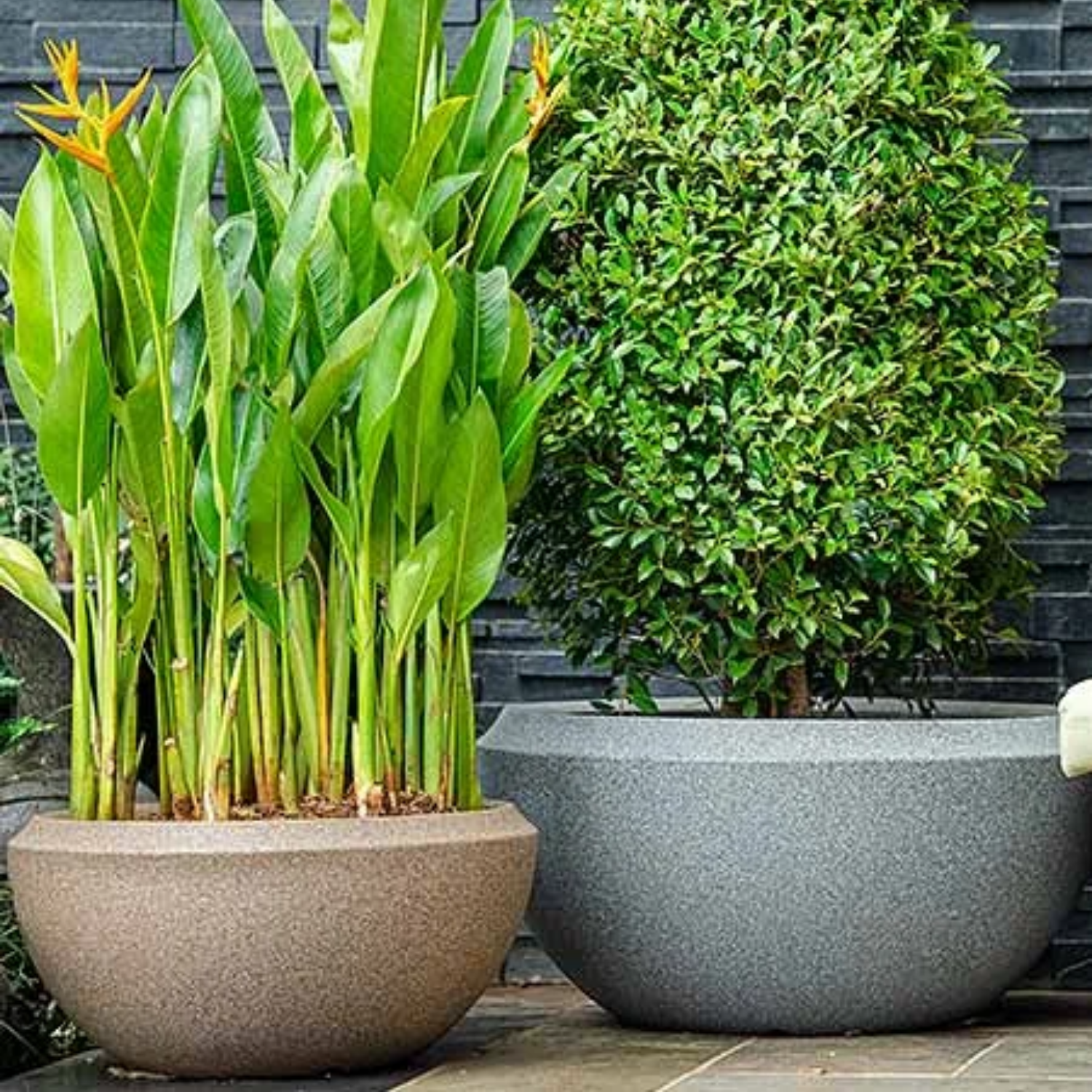 Hug A Plant | Malta Planter Rotomolded Round Plastic Pot for Home & Garden (Pack of 1, Midnight Stone Finish)