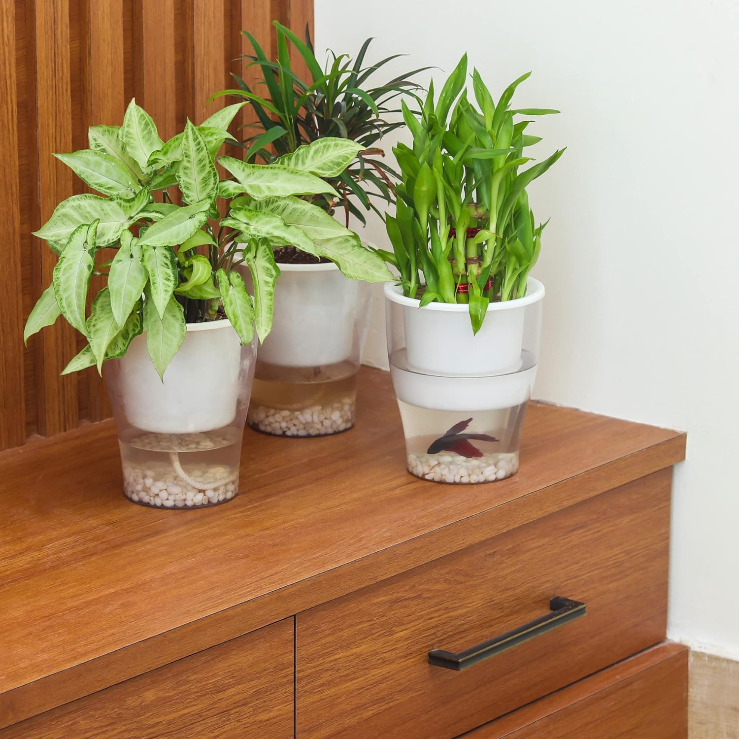 Clear Pot 5 Inch- Selfwatering Pot