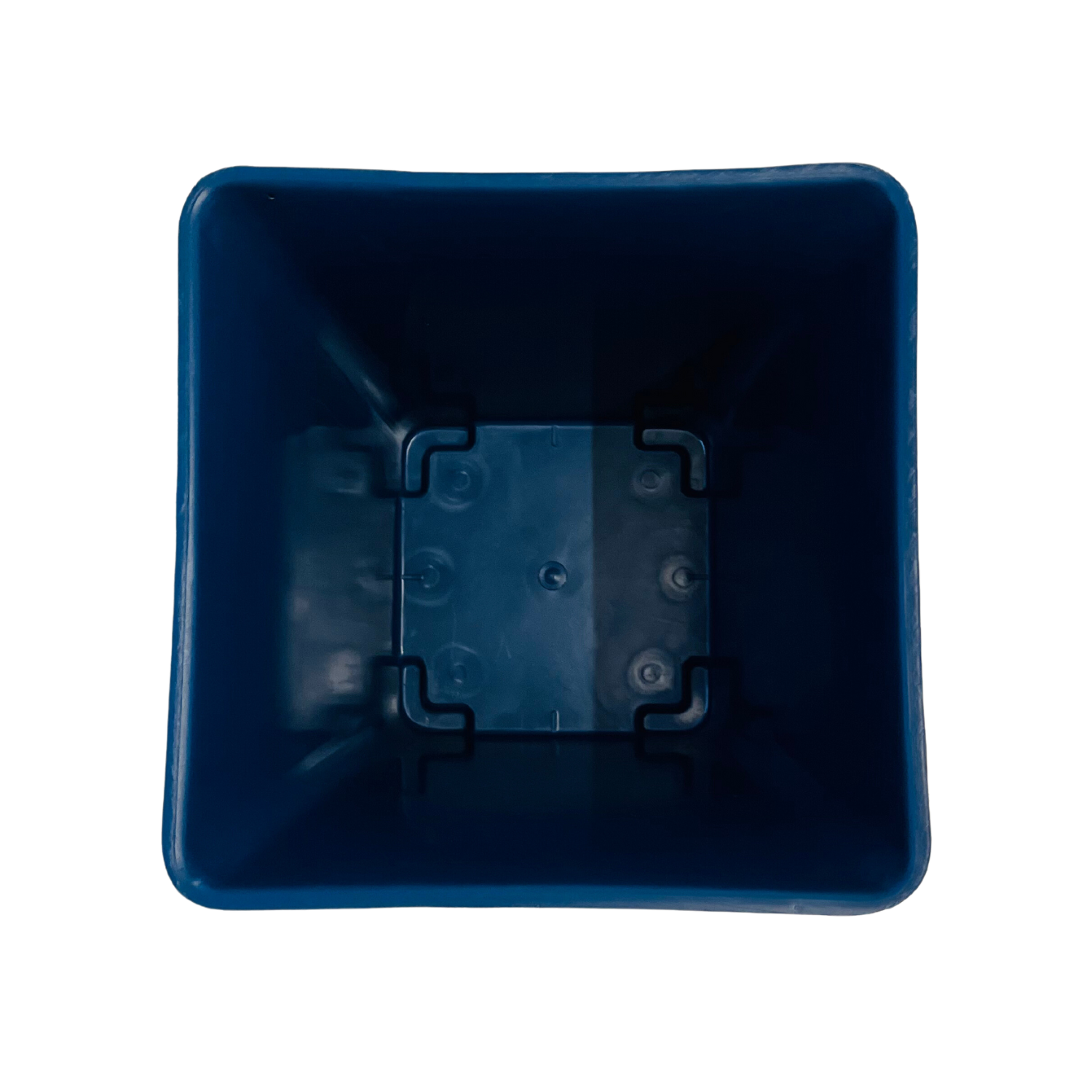 Hug A Plant | Hot Square Plastic Pot for Home & Garden (22CM | 9INCH)