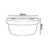 Hug A Plant | Lotus Bowl Rotomolded Round Plastic Pot for Home & Garden (Pack of 1, Cream Stone Finish)