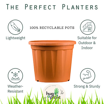 24-inch diameter plastic planter pots 24 Inch Grower Plastic Pot Terracotta – Hug A Plant