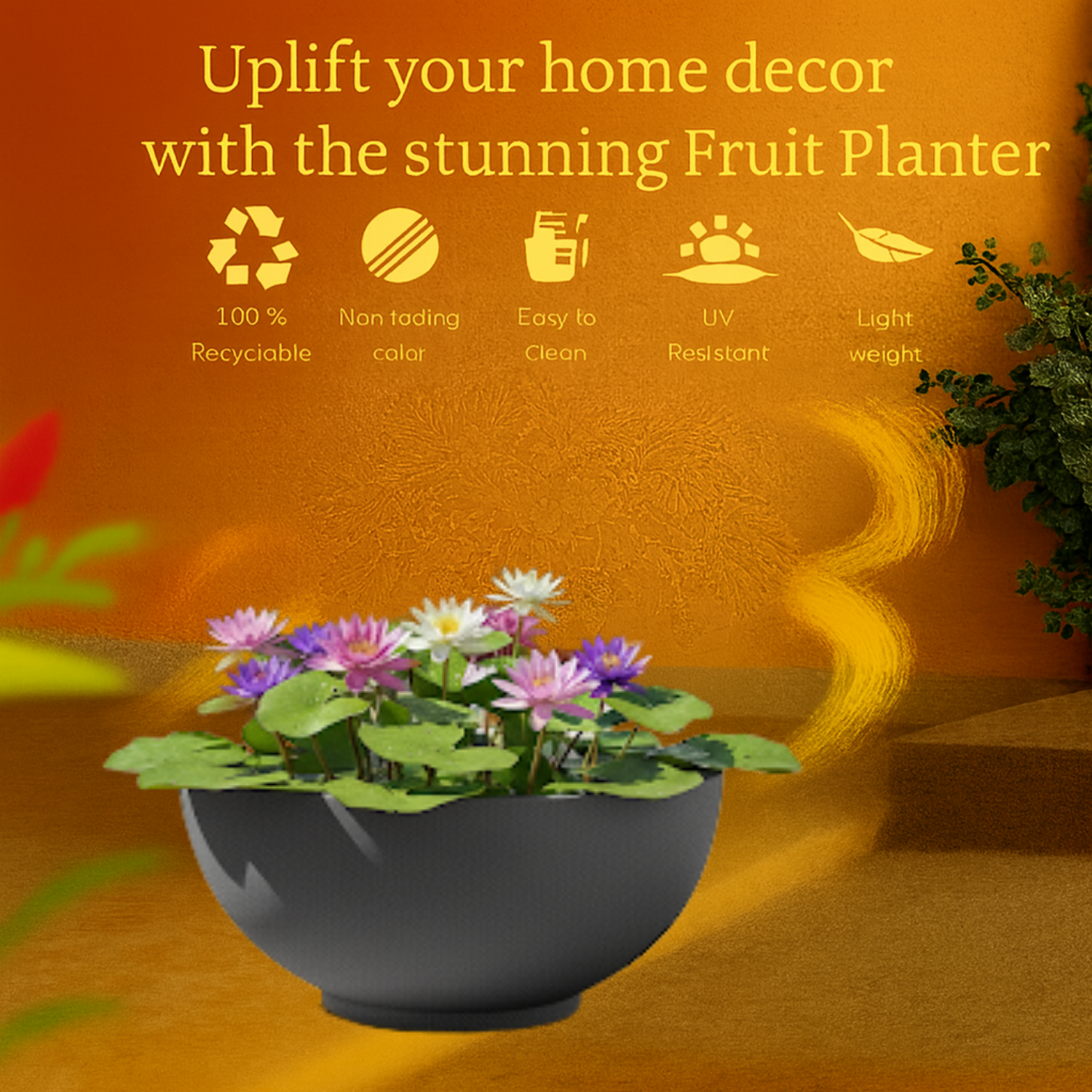 Lilly Rotomolded  Pot for Home & Garden (Pack of 1)