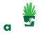 Hug A Plant