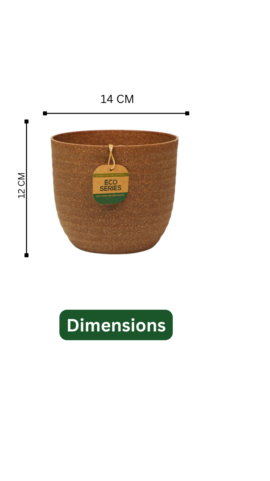 Hug A Plant | Bromeliad 'Donger' – Exotic Indoor Flowering Plant in Verona Eco 14 Pot