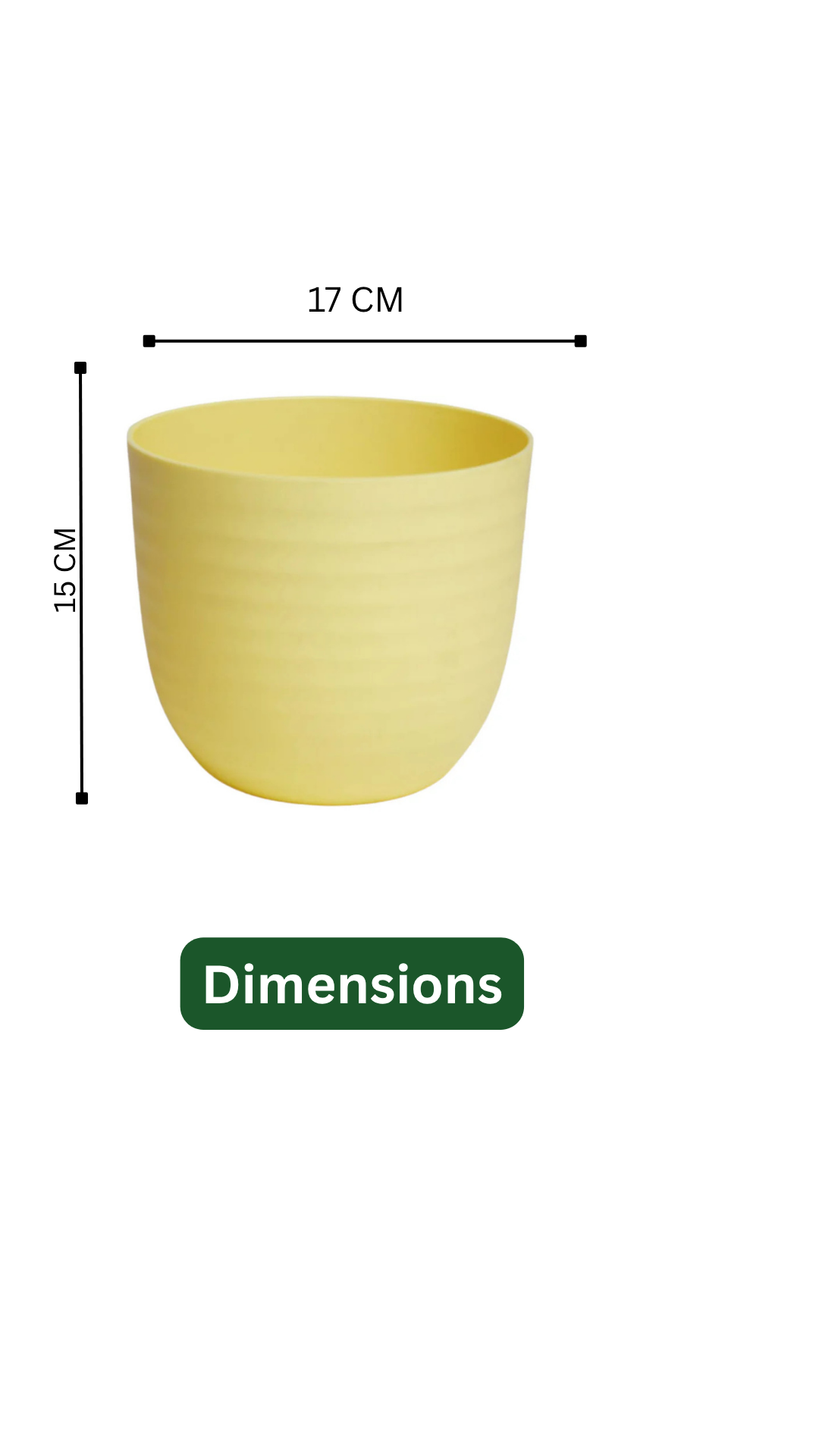 Hug A Plant | ZZ Miniature /Dwarf ZZ Plant in Vibrant Yellow Round Plastic Pot  Pot – Stylish & Low-Maintenance Indoor Plant