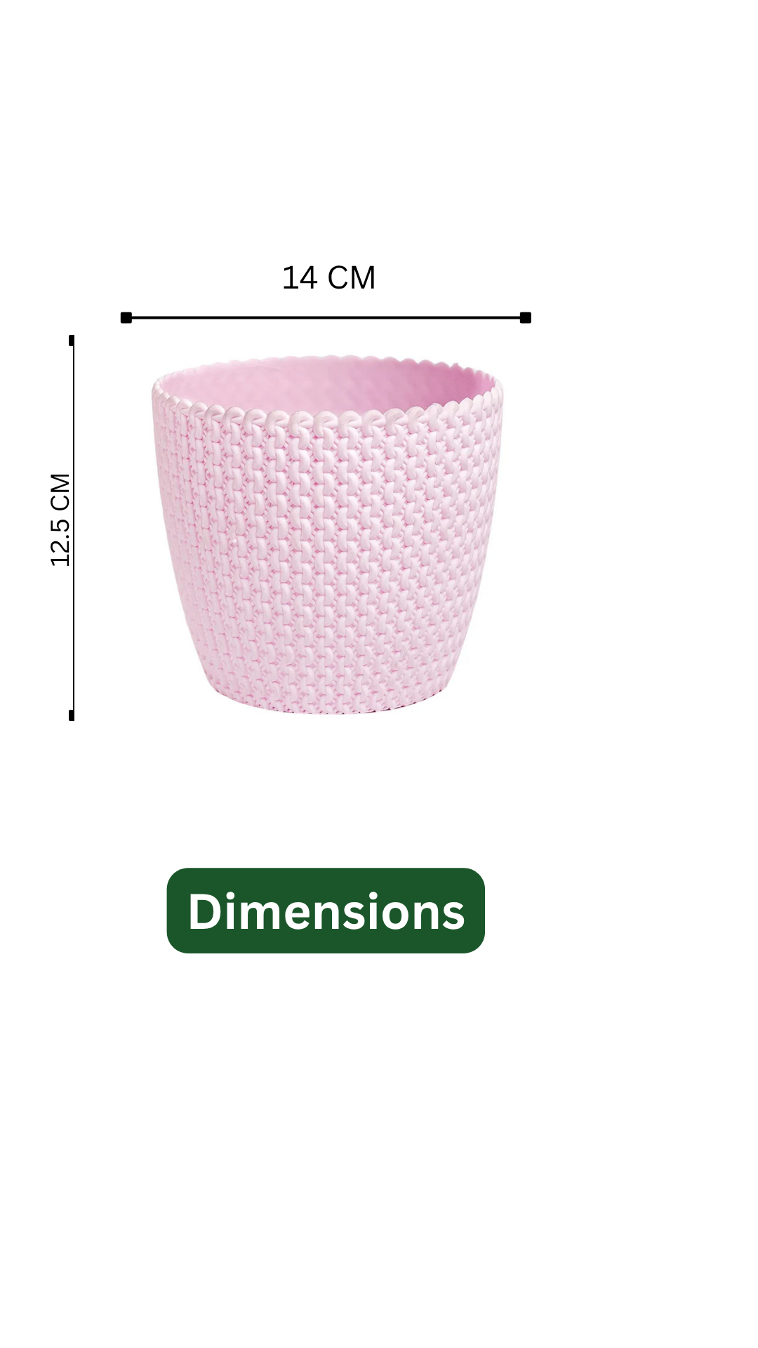 Hug A Plant | Dracaena Compacta in Capri 14cm Round Plastic Pot | Indoor Decorative Plant | Air Purifier for Home & Office