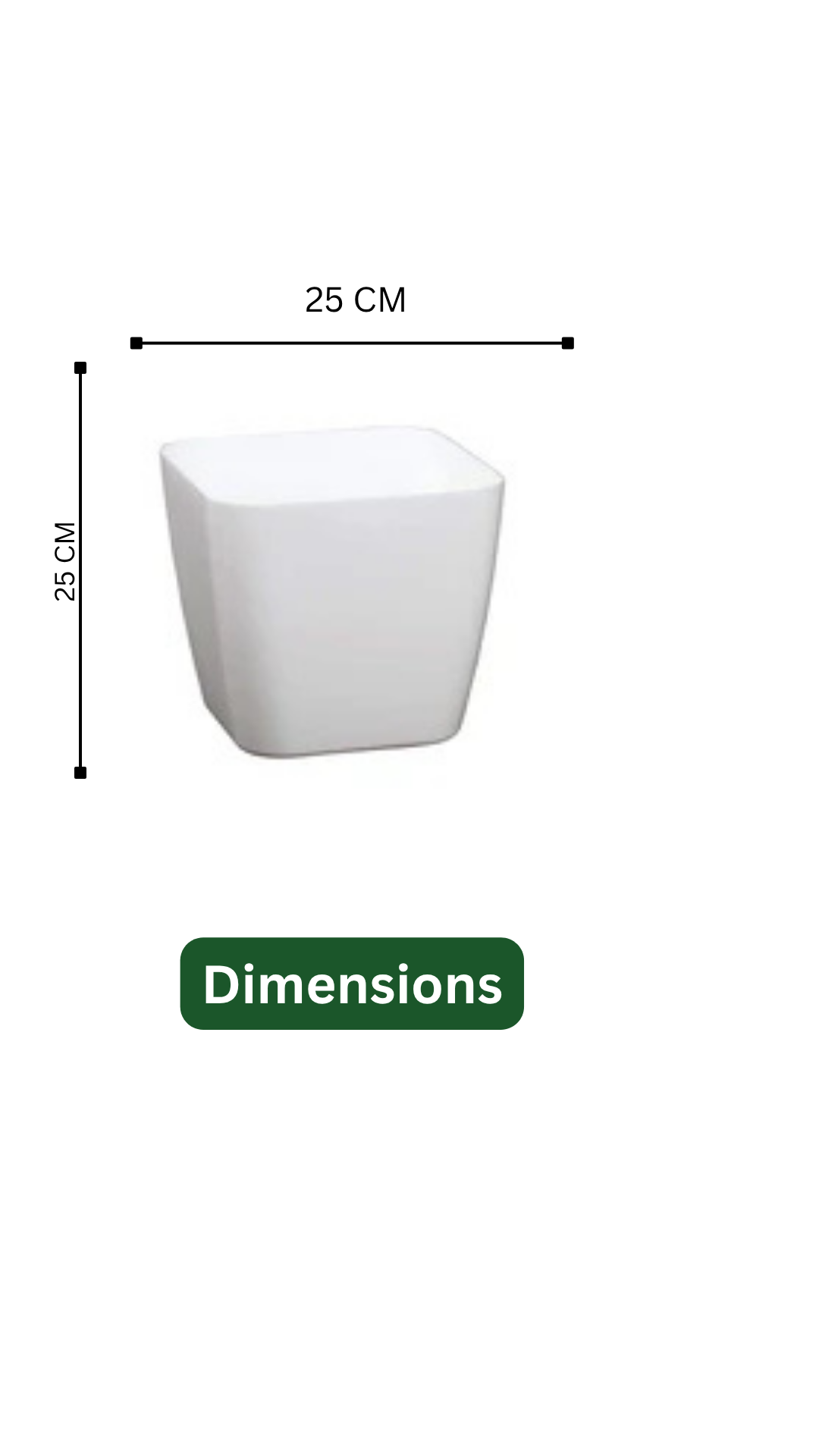 Hug A Plant | Golden Brassia Plant in Siena 25 Designer Plastic Pot – Lush Indoor Foliage